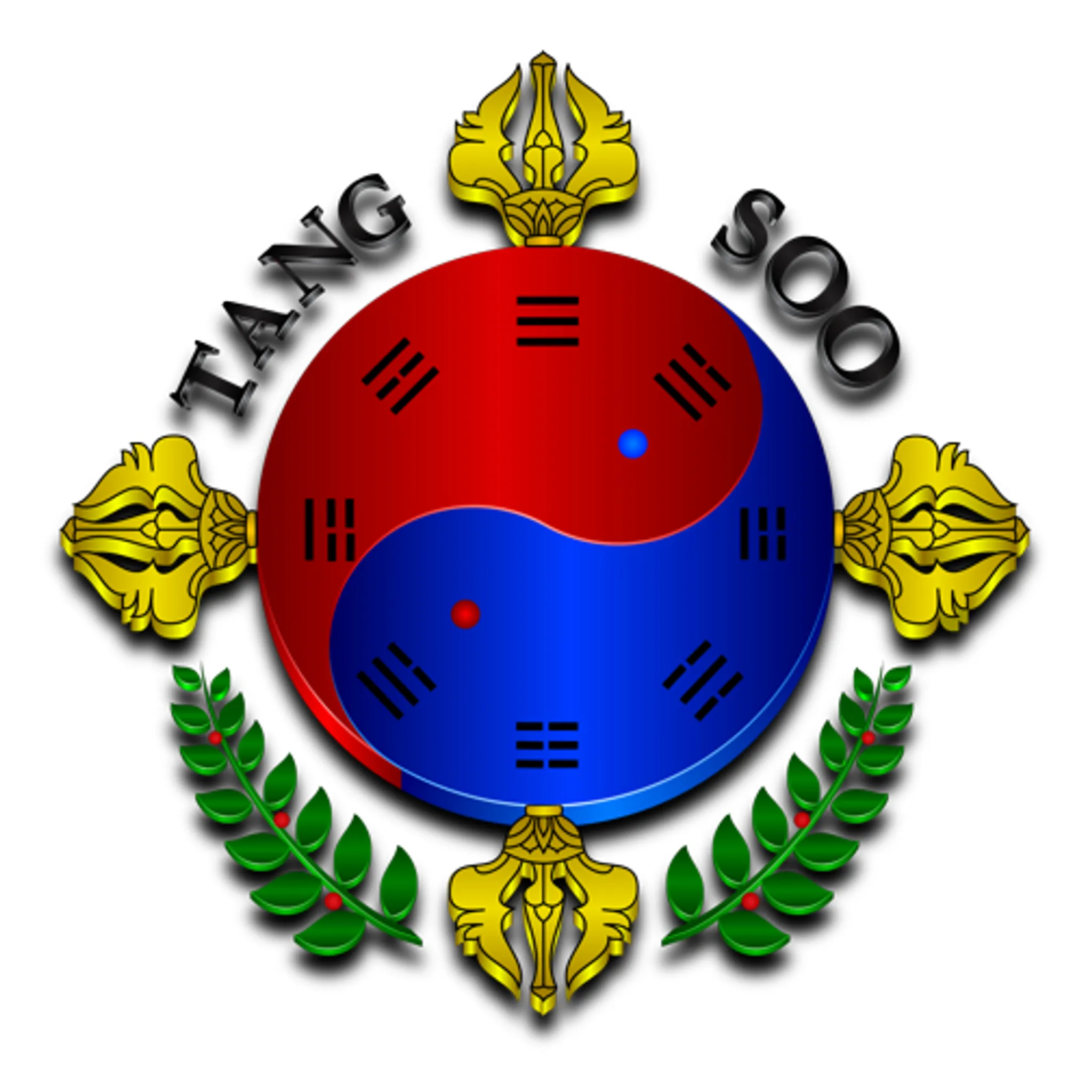 Tang Soo Tao - Darwin