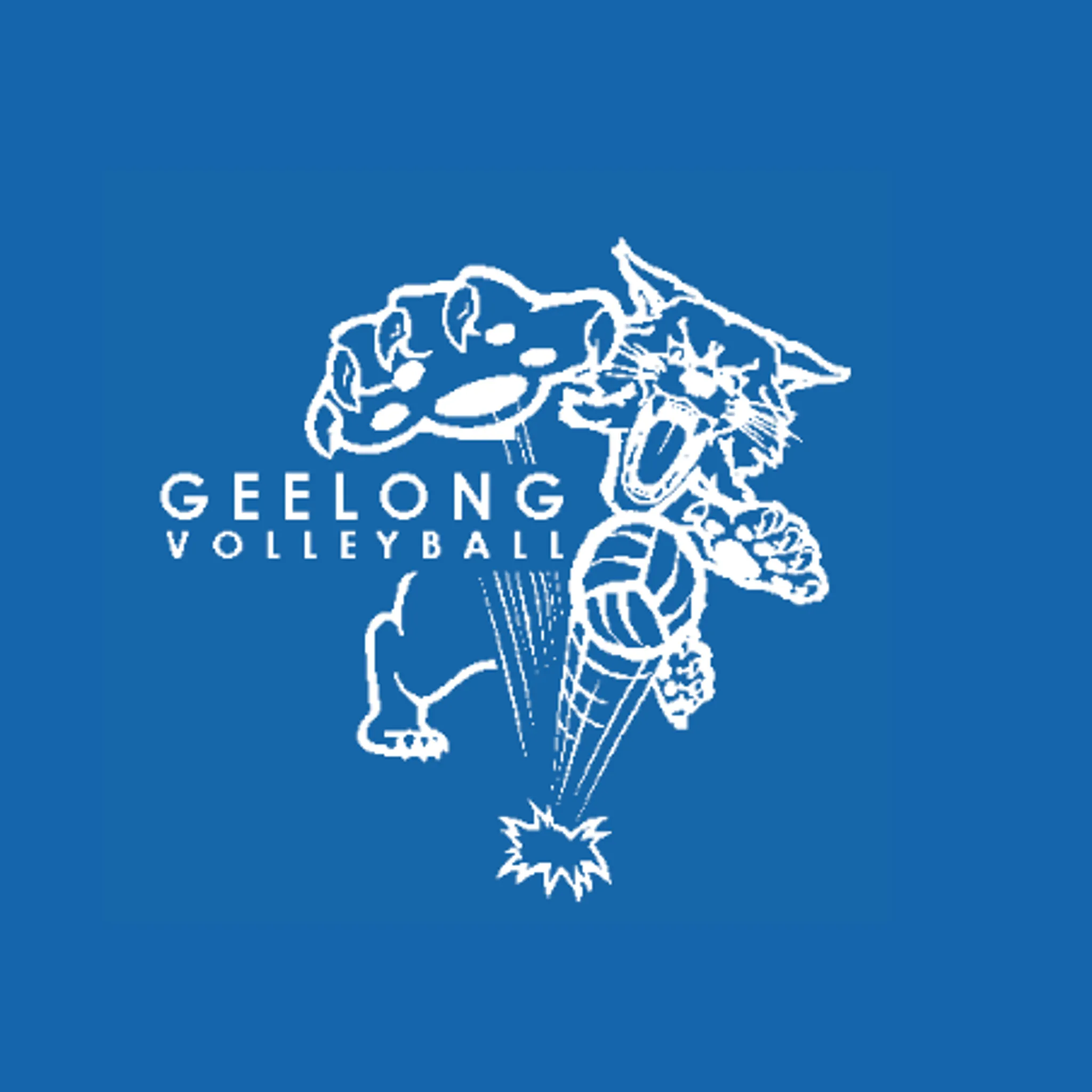 Geelong Amateur Volleyball Association