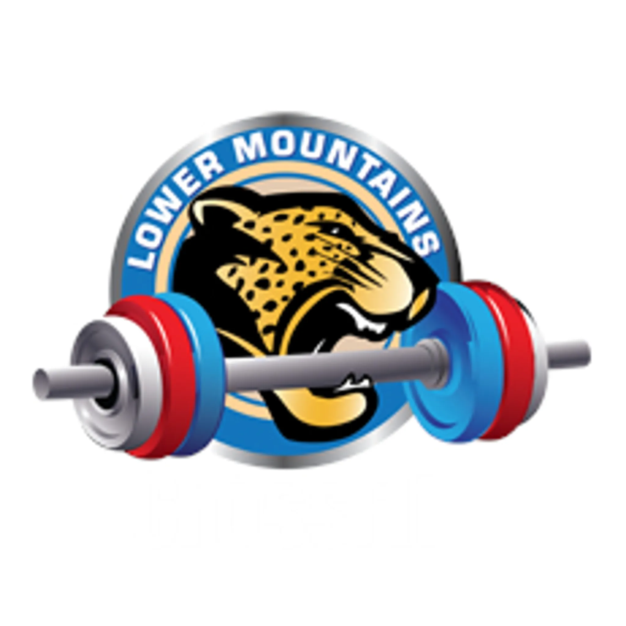 CrossFit Lower Mountains