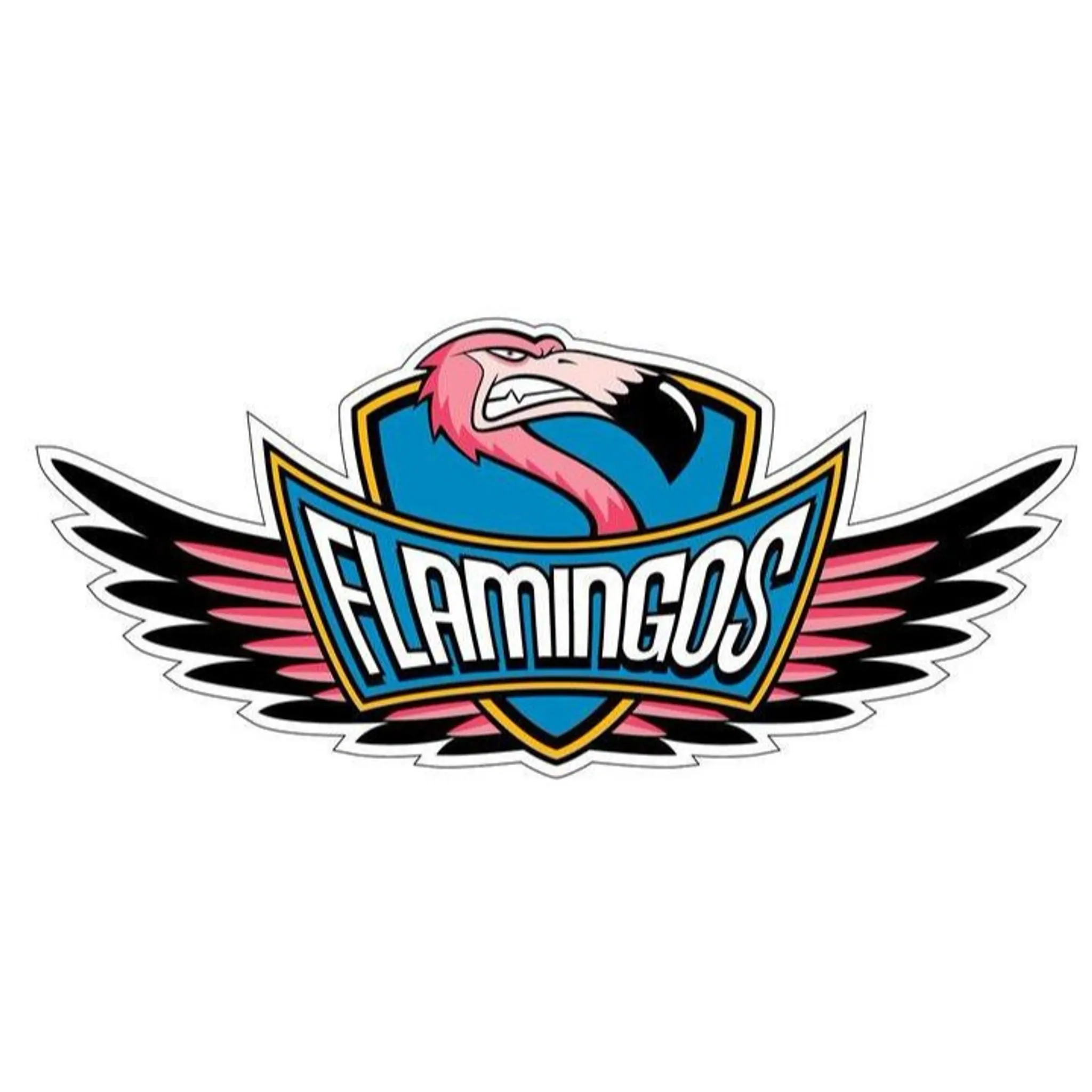 The Flamingos Touch Football Association