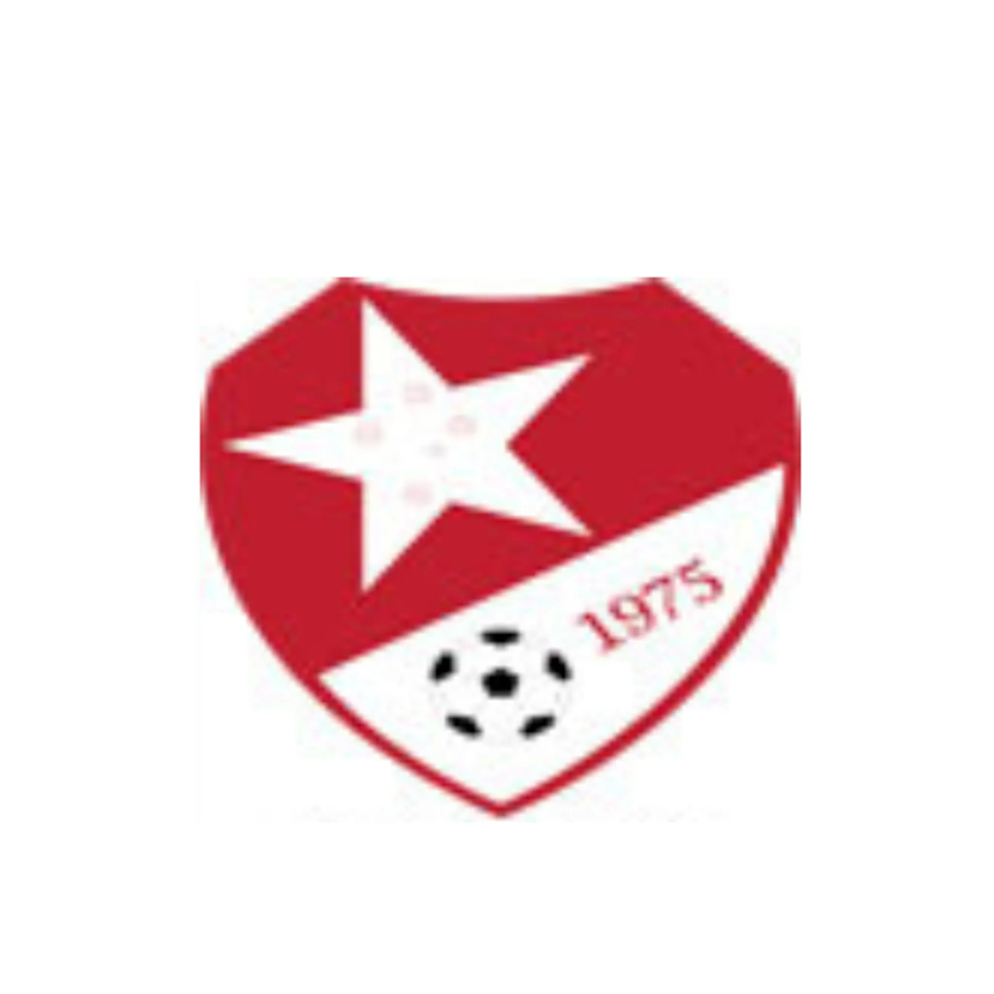 Dingley Stars Football Club