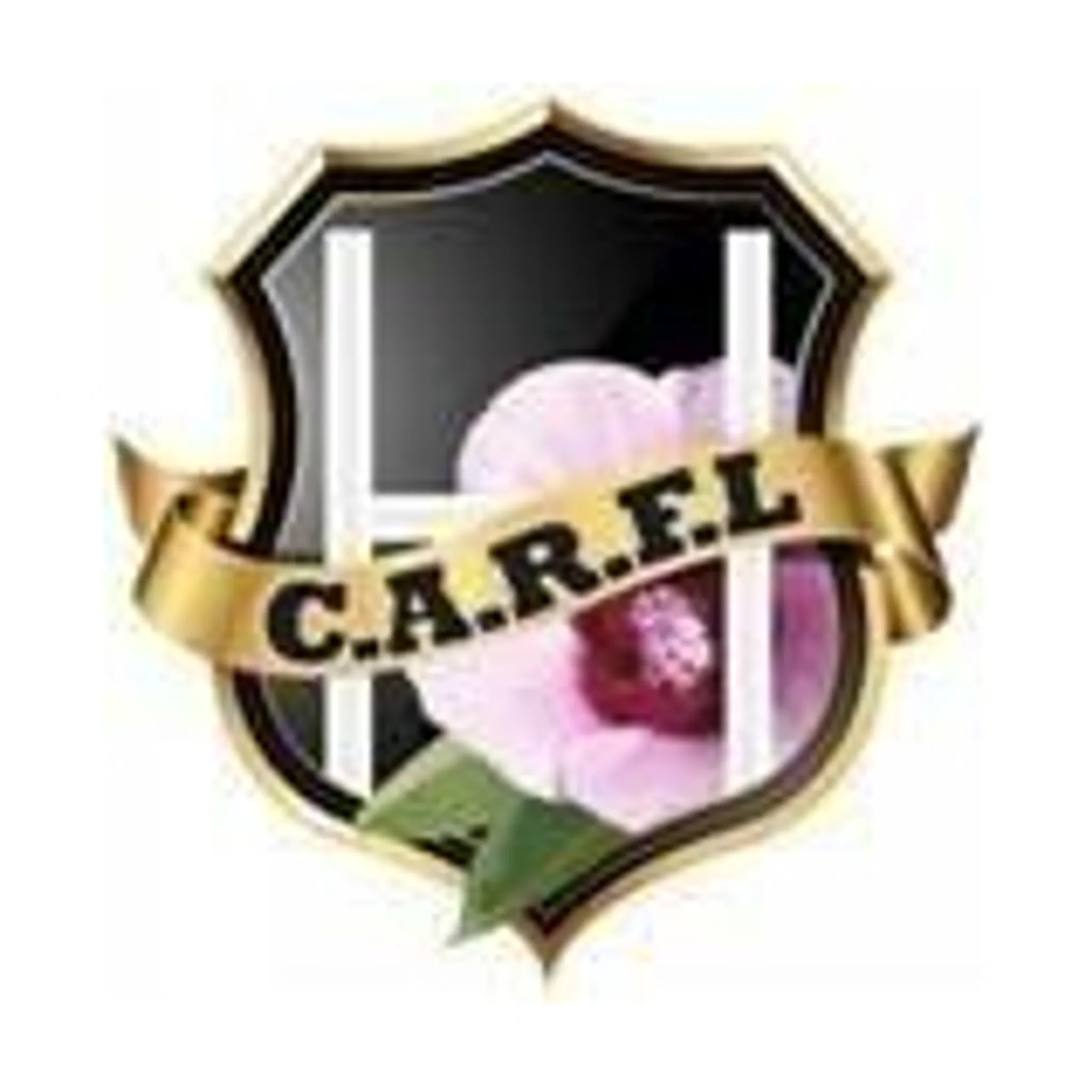 Central Australian Rugby Football League