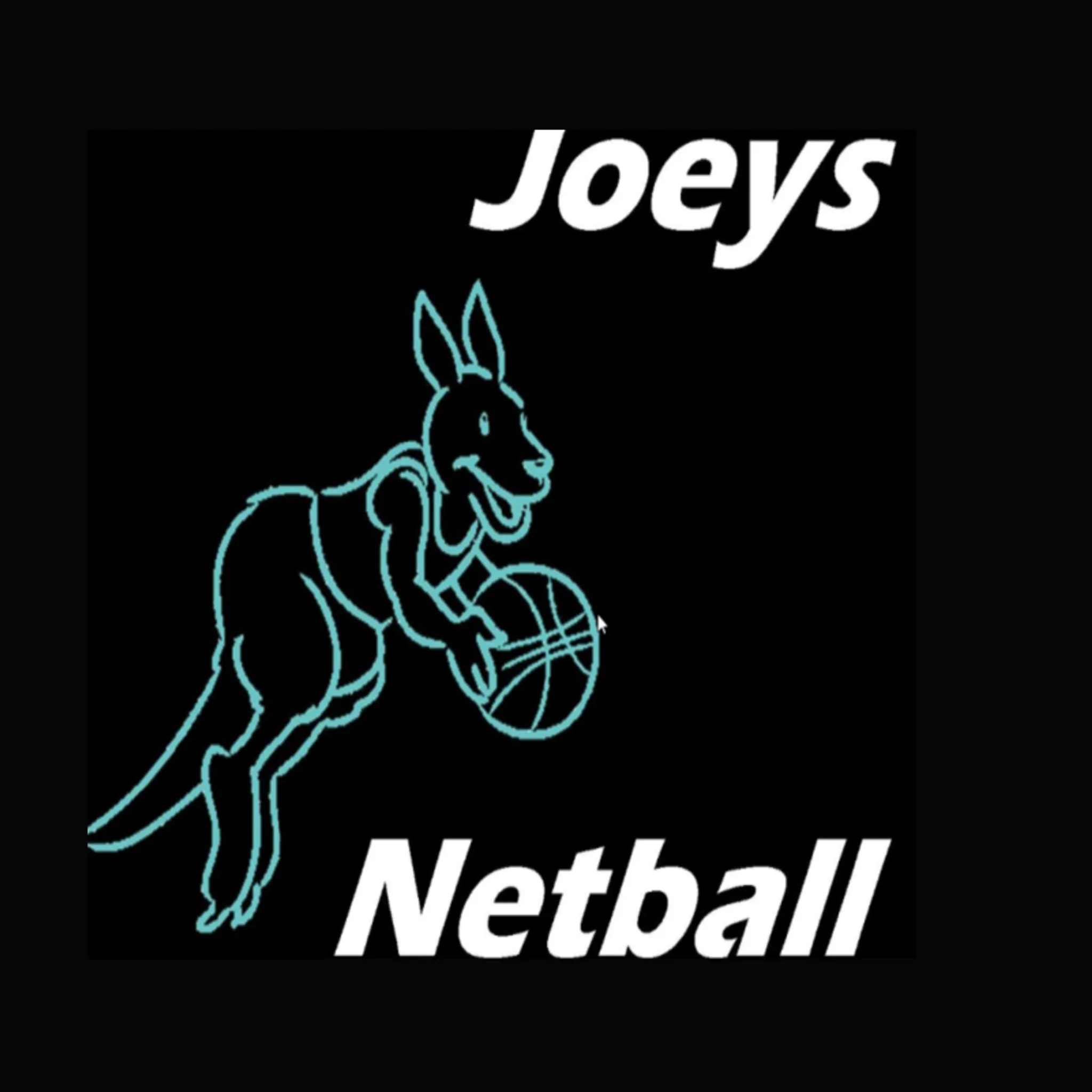Jerra Joeys Netball Club