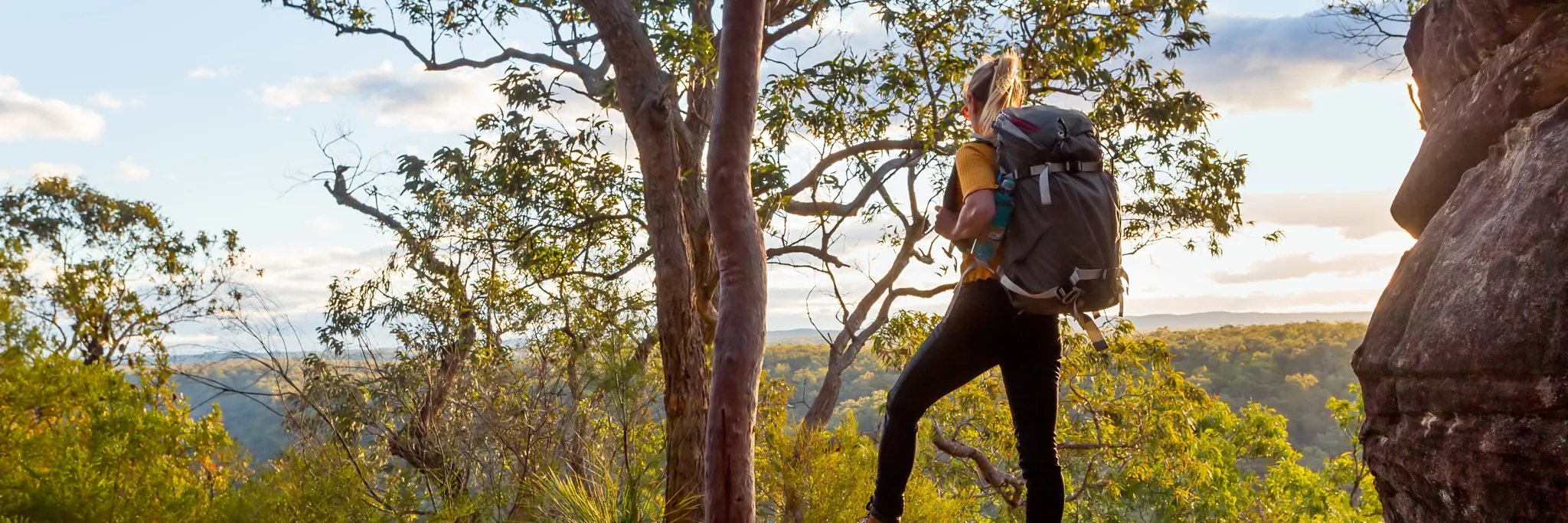 Mount Everard Circuit-Kinglake 20km Hike