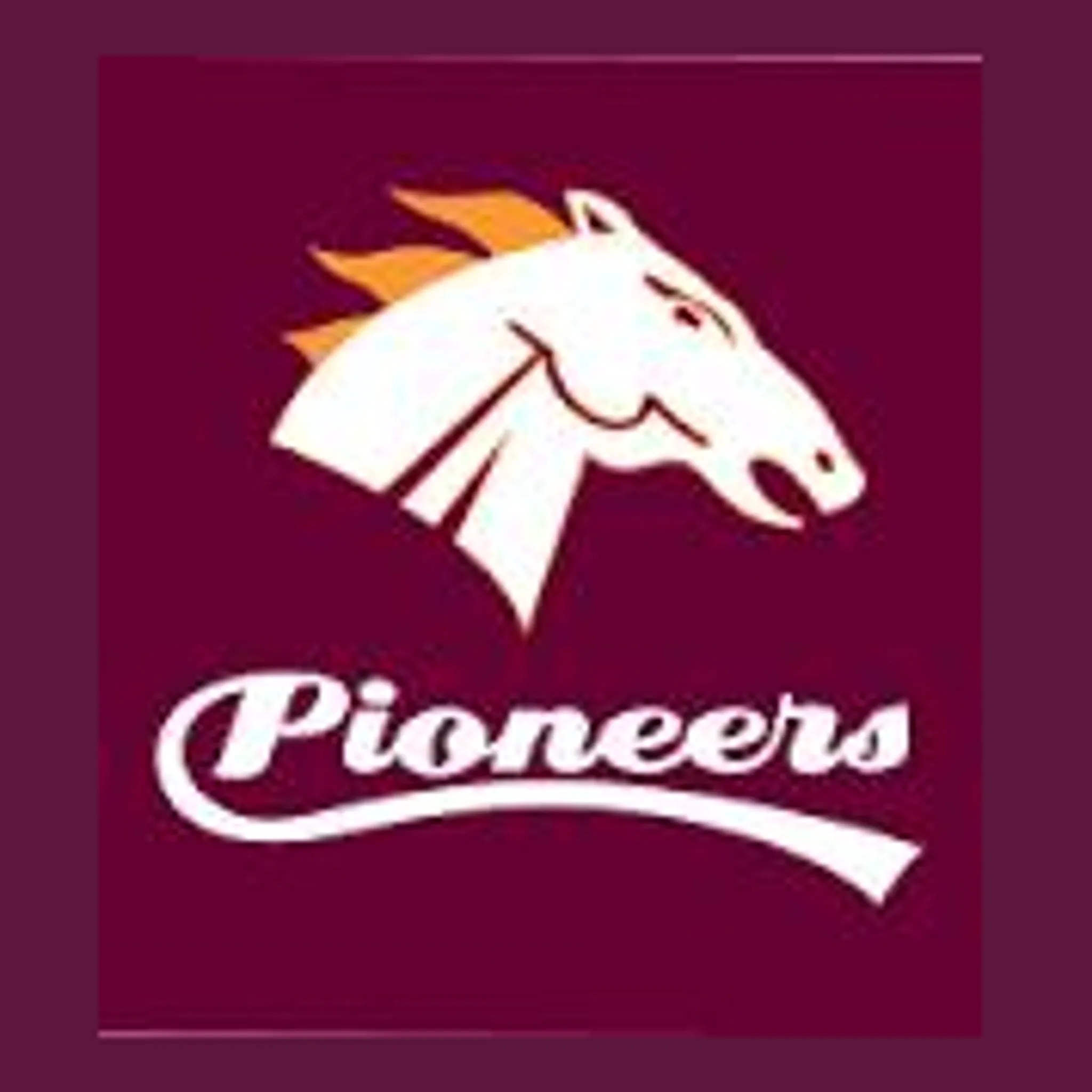 Whitehorse Pioneers Football Netball Club