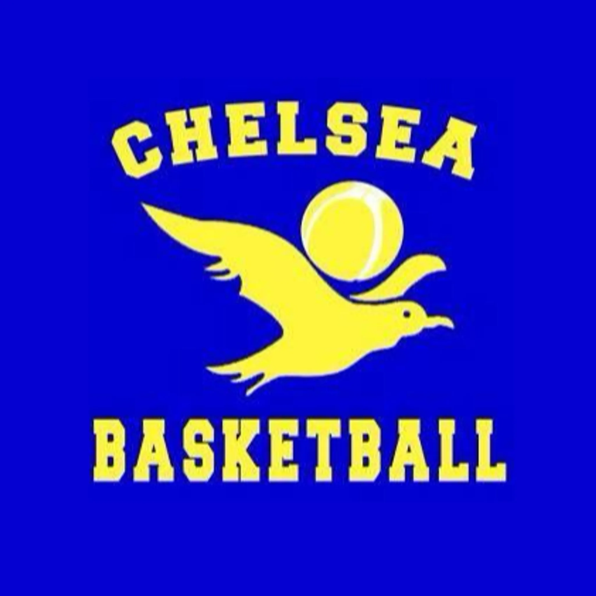 Chelsea and Districts Basketball Association