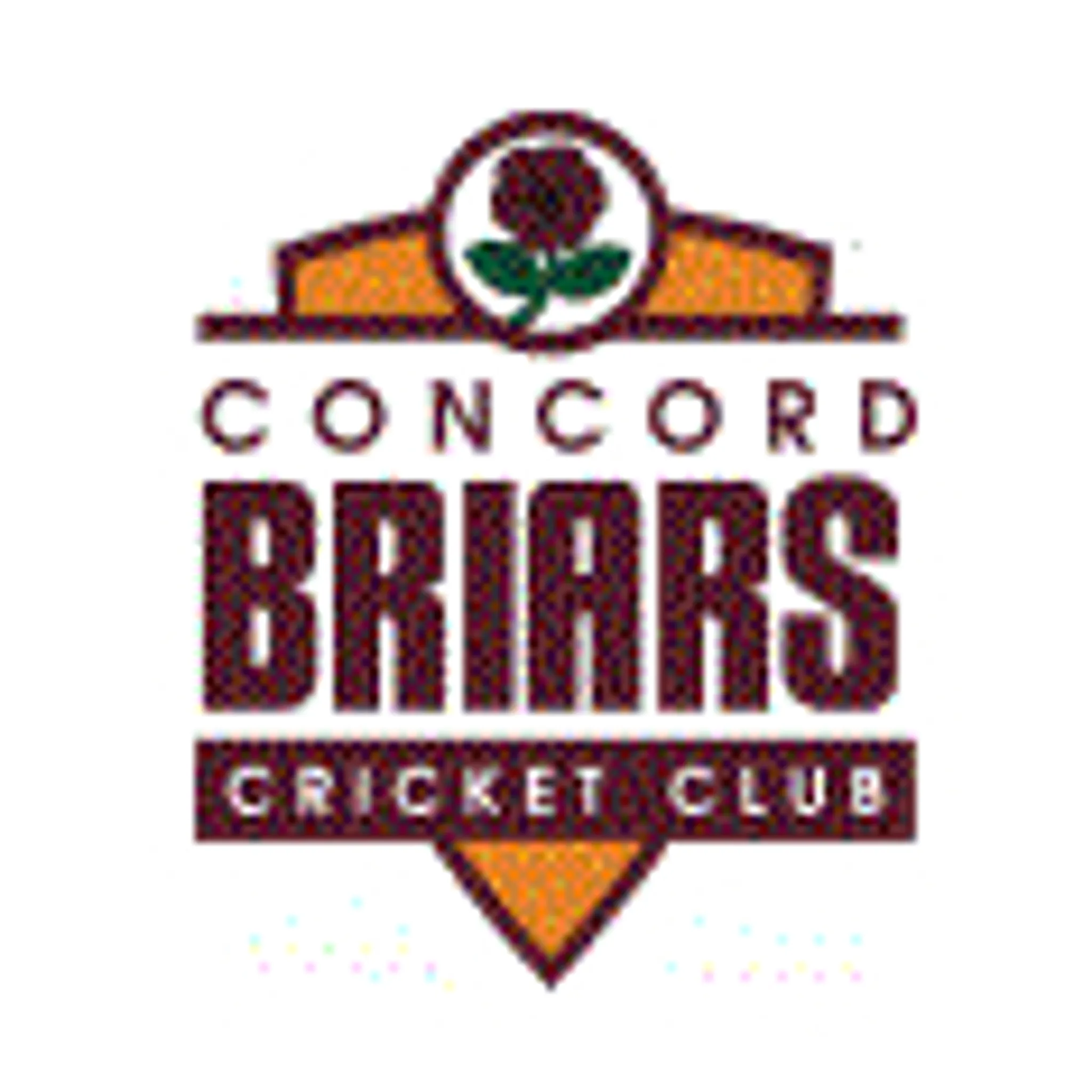 Concord Briars Cricket Club