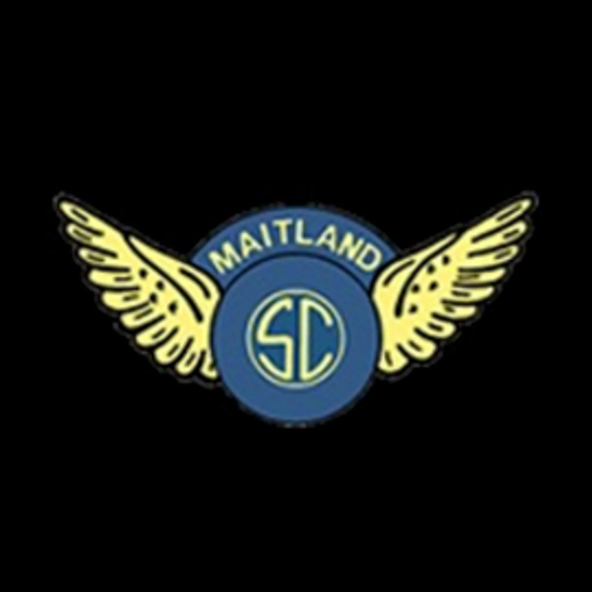 Maitland Swimming Club Inc