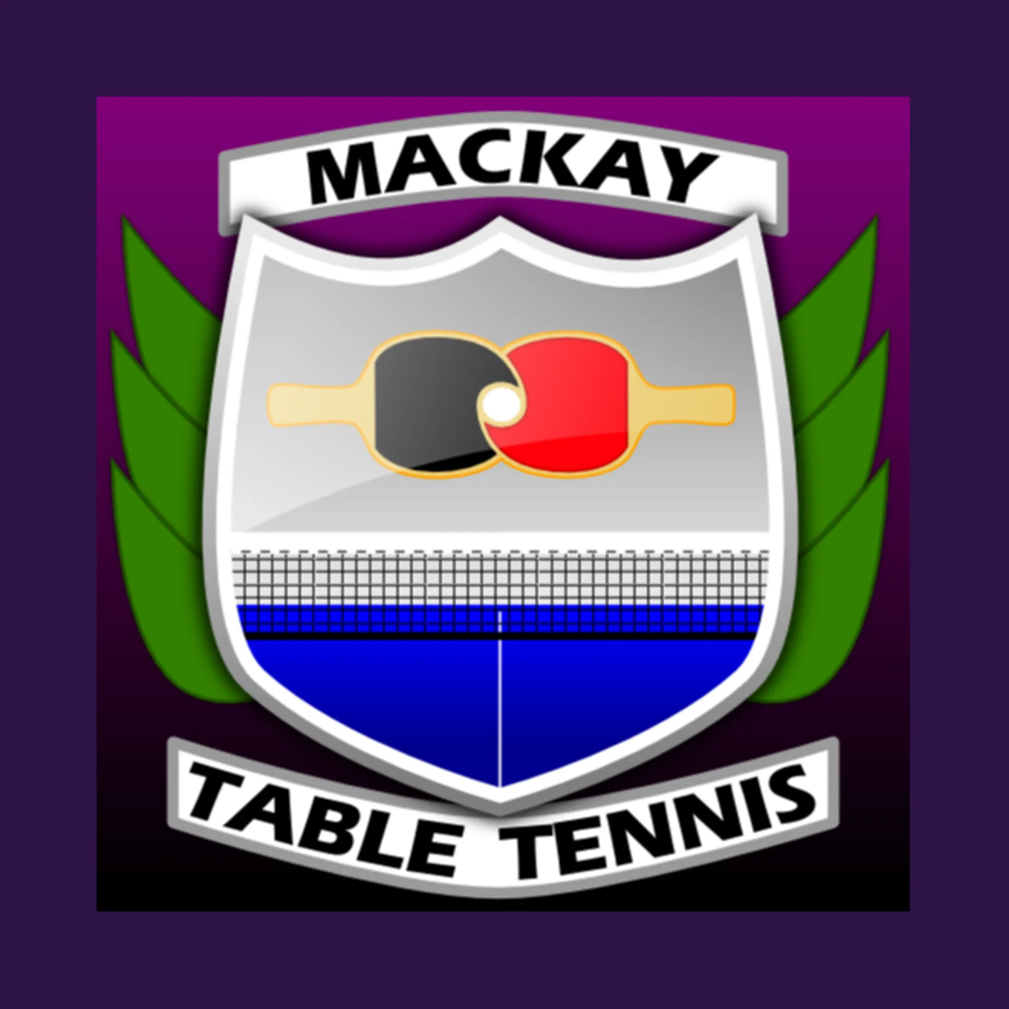 Mackay Table Tennis 
