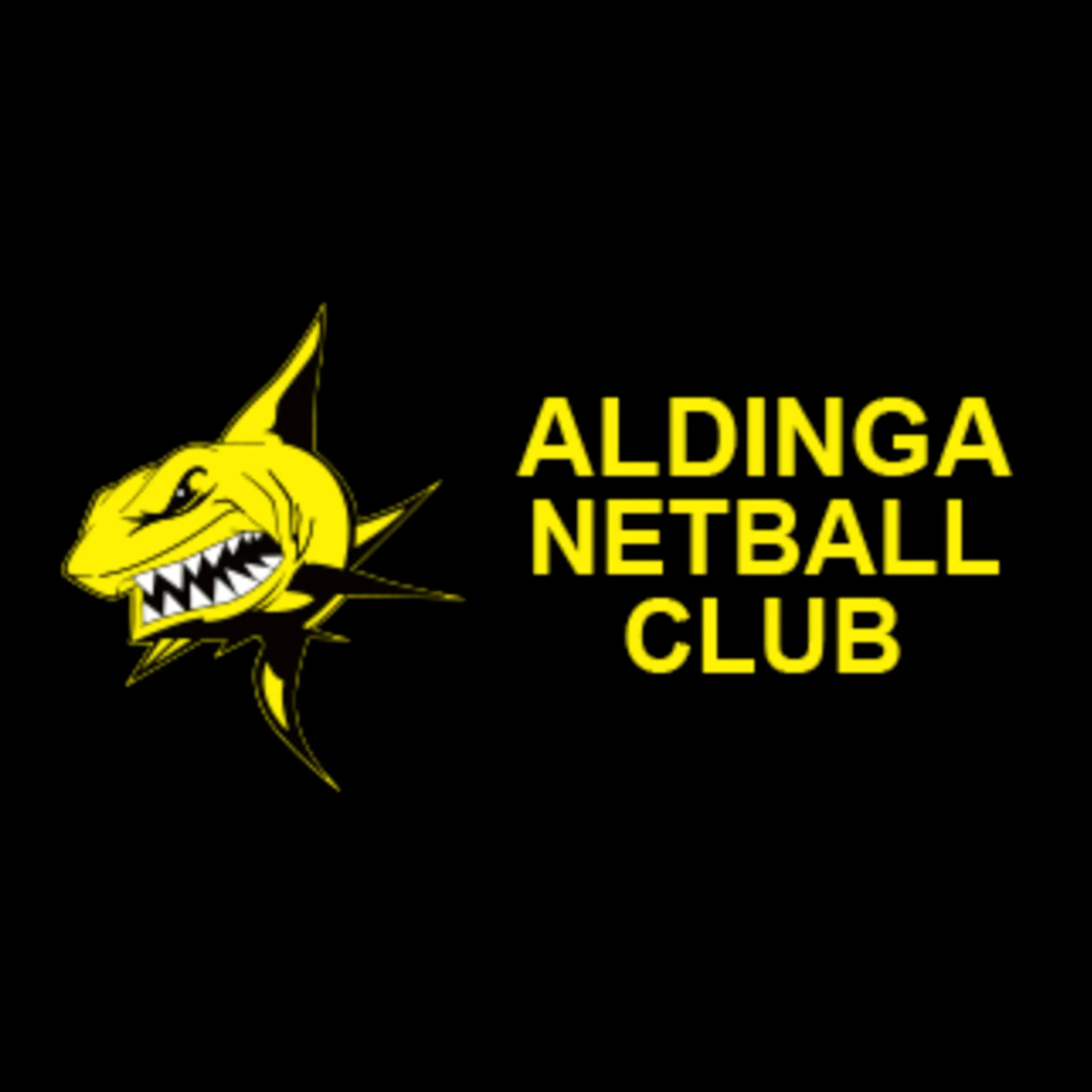 Aldinga Netball Club