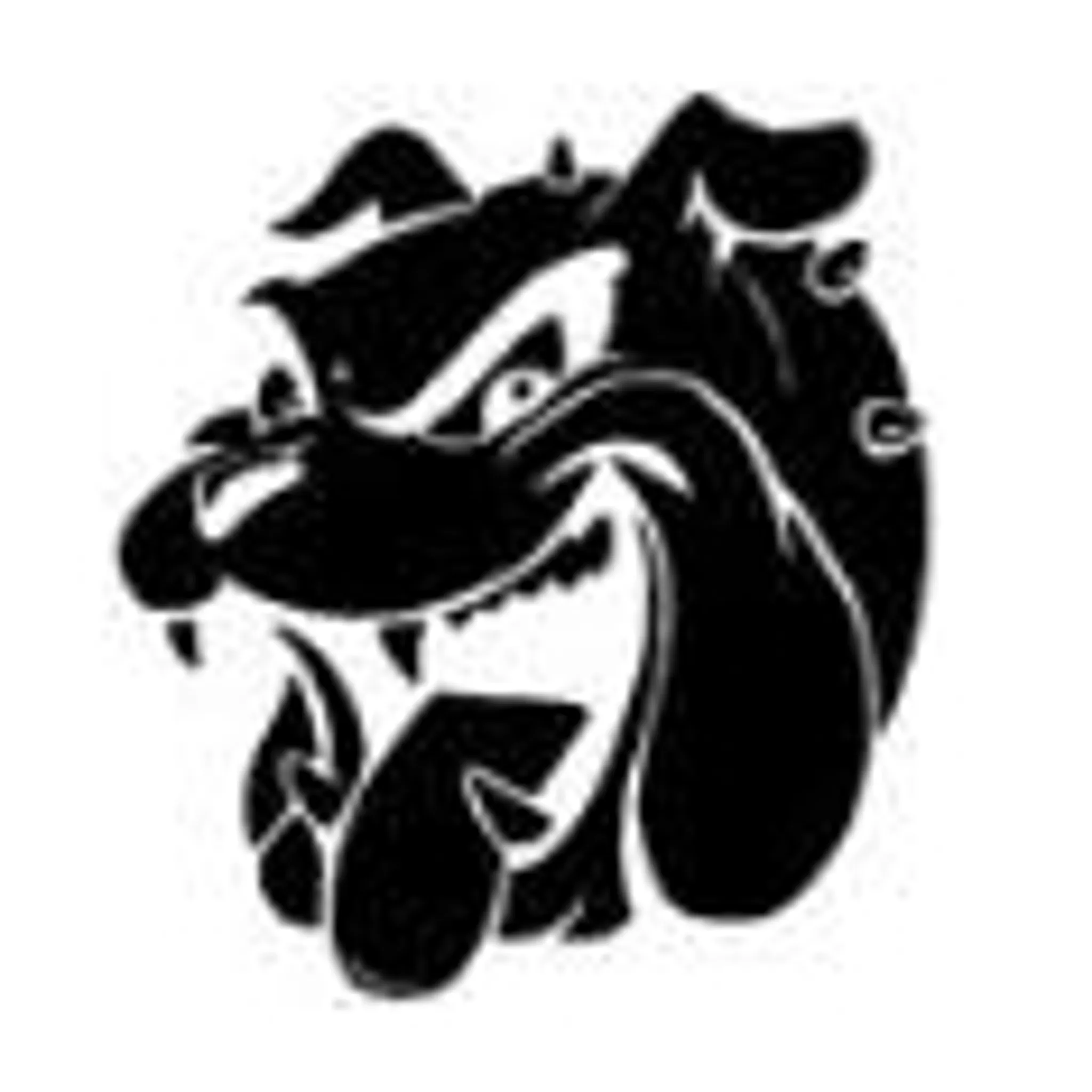 West Wyalong Girral Netball Club