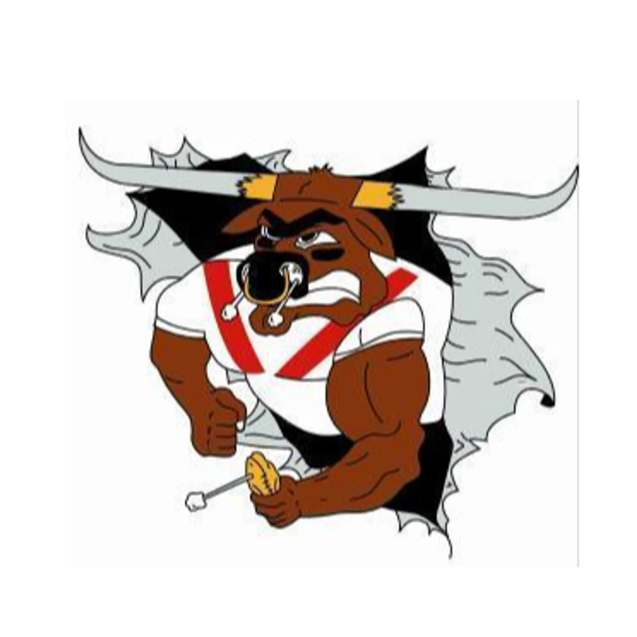 Dysart Junior Rugby League Football Club Inc.