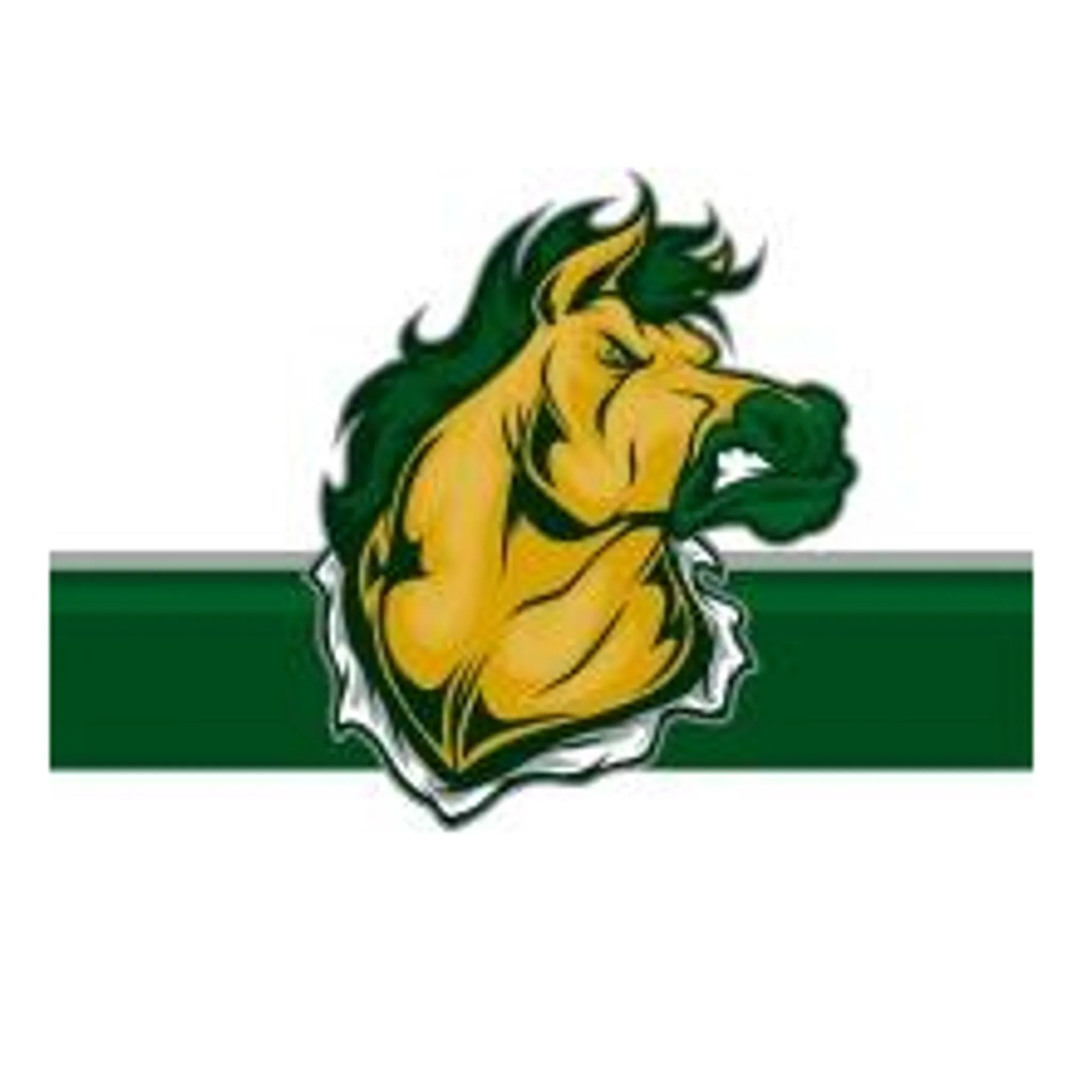 Mooroolbark Football Club