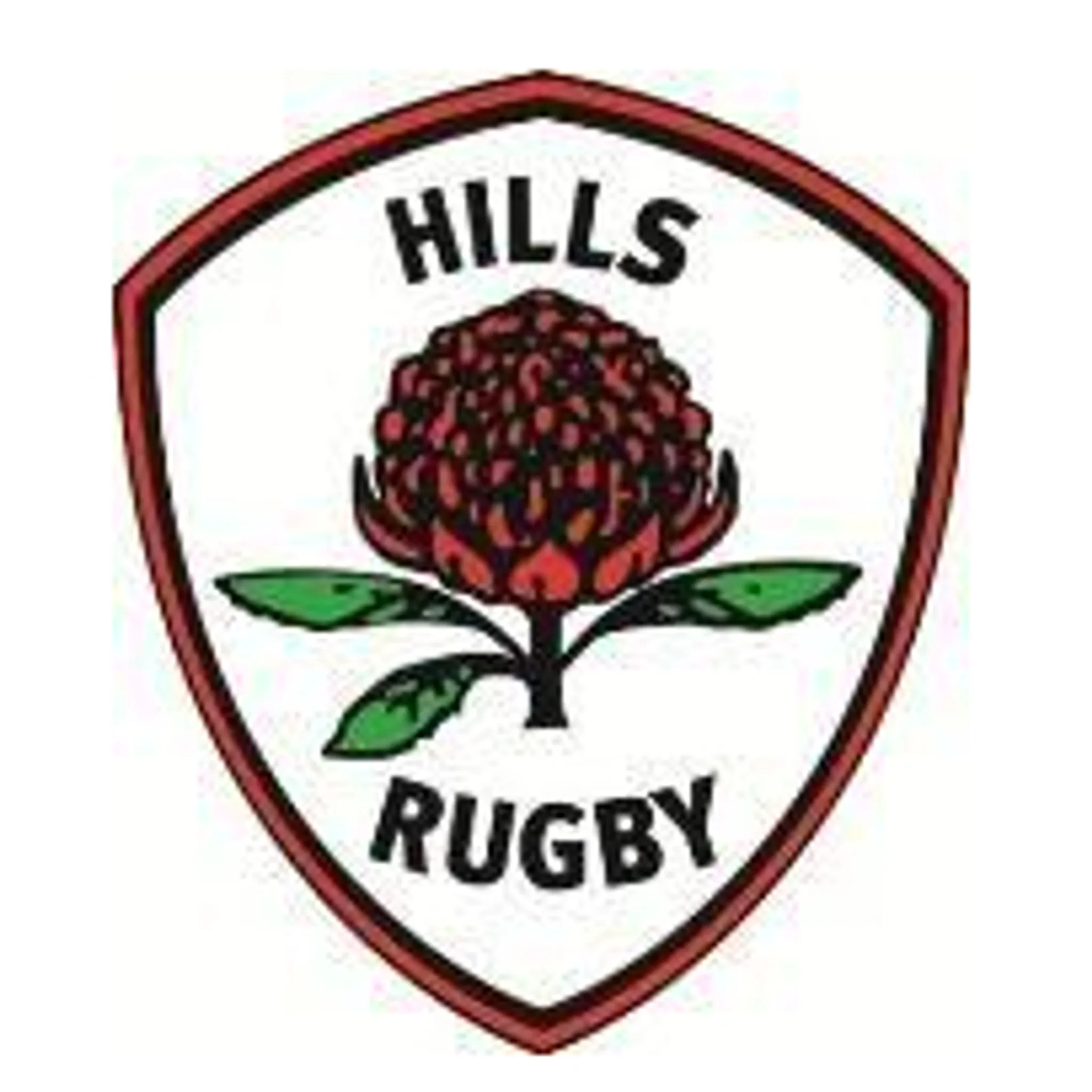 Hills Rugby Club