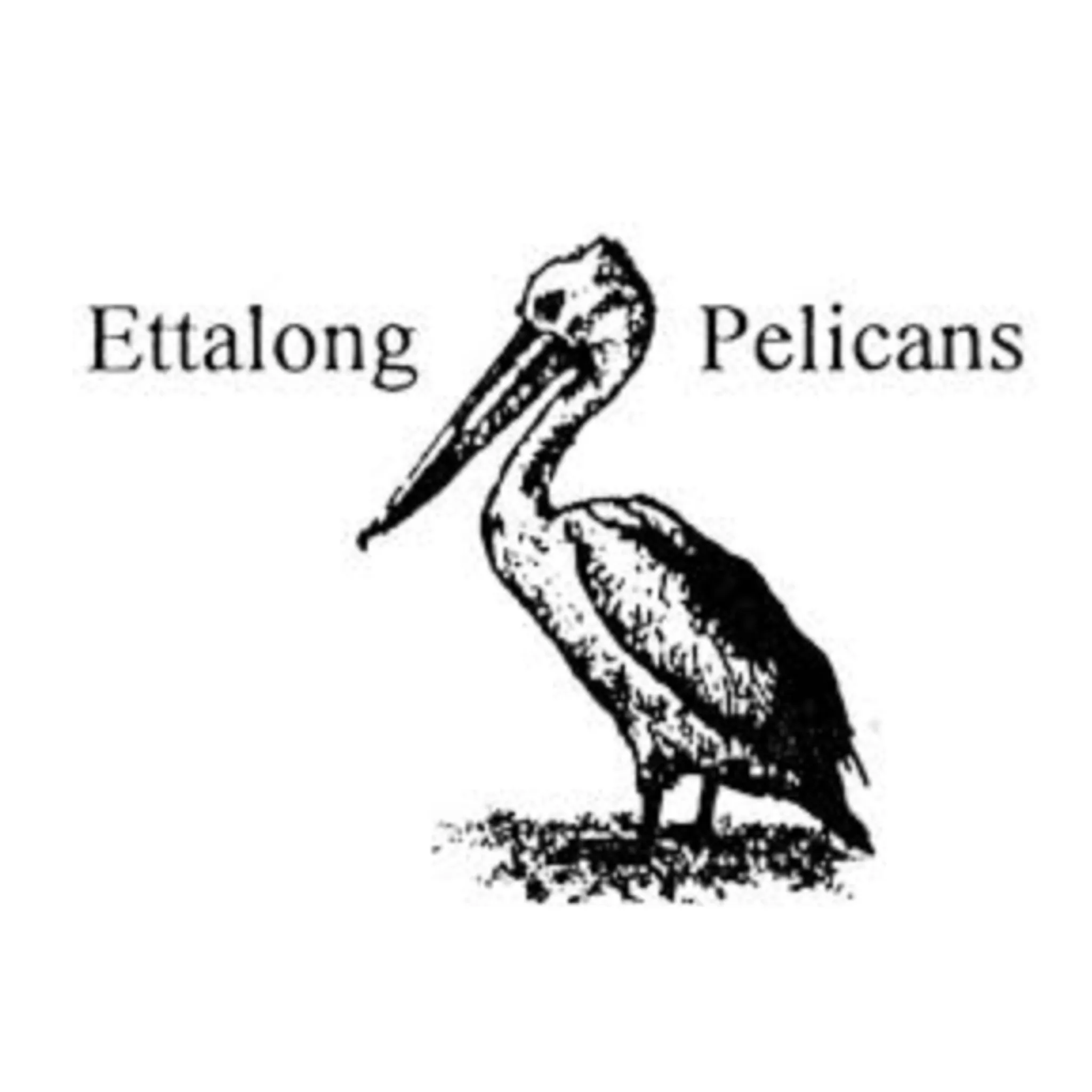 Ettalong Pelican Masters Swimming Club
