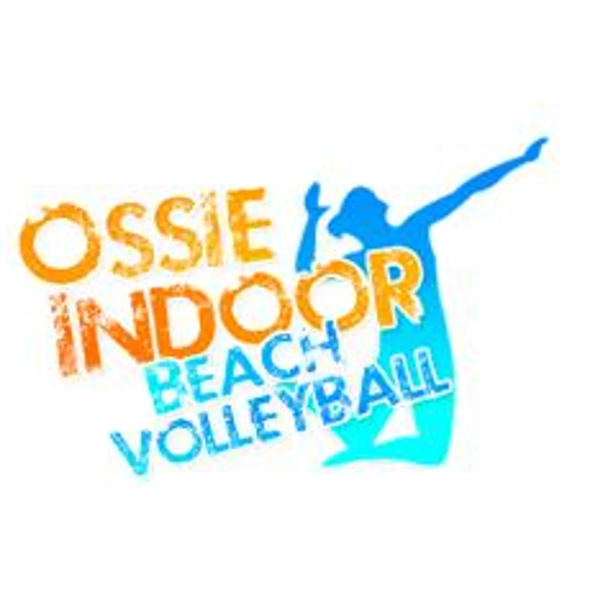 Ossie Indoor Beach Volleyball