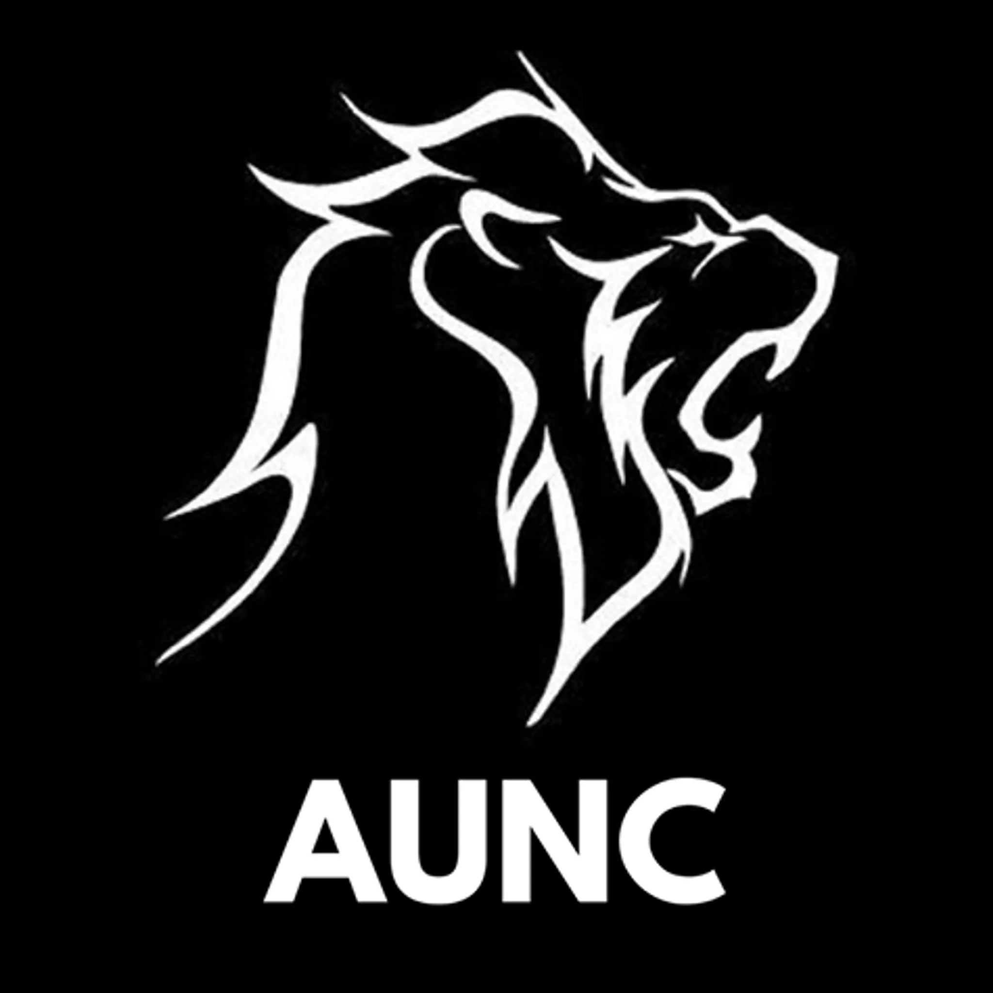 Adelaide University Netball Club