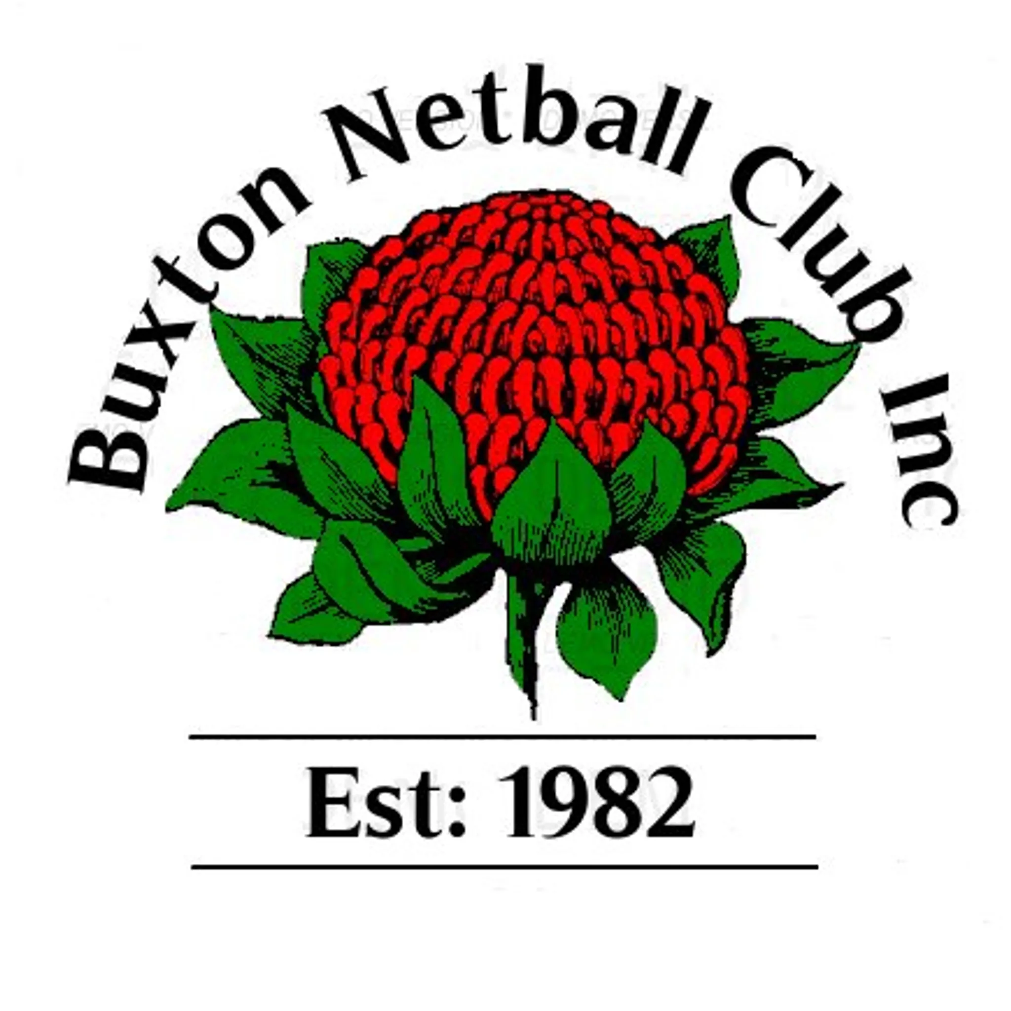 Buxton Netball Club