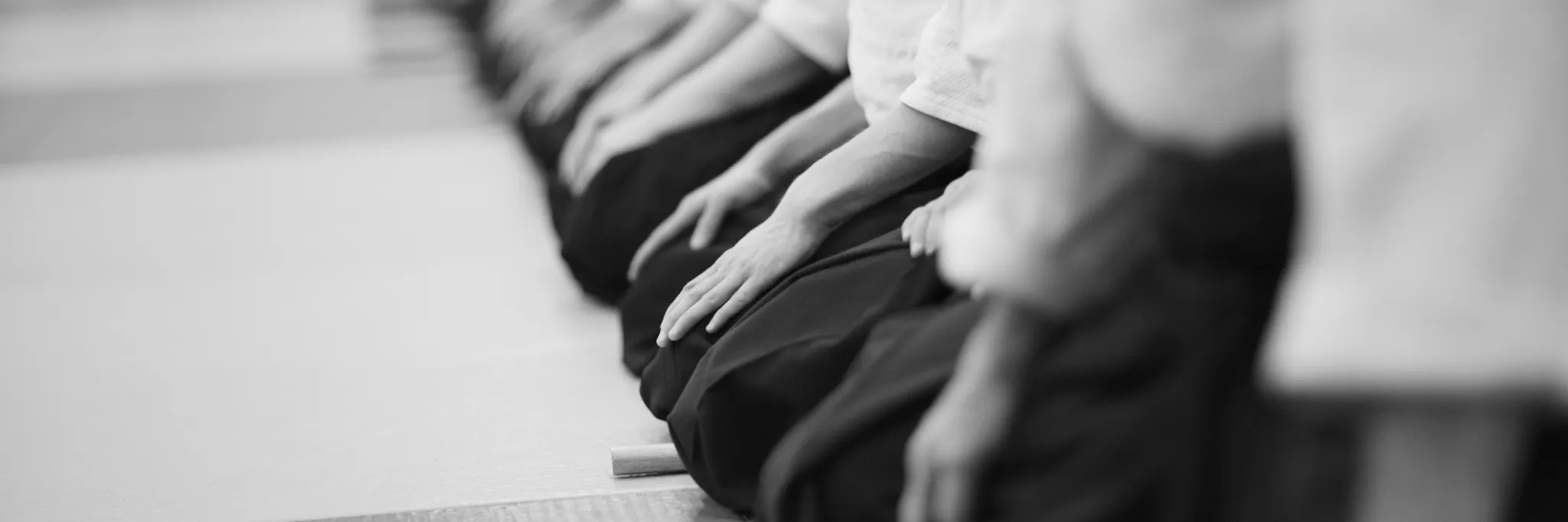 Aikido North Sydney Free Trial Aikido North Sydney Free Trial