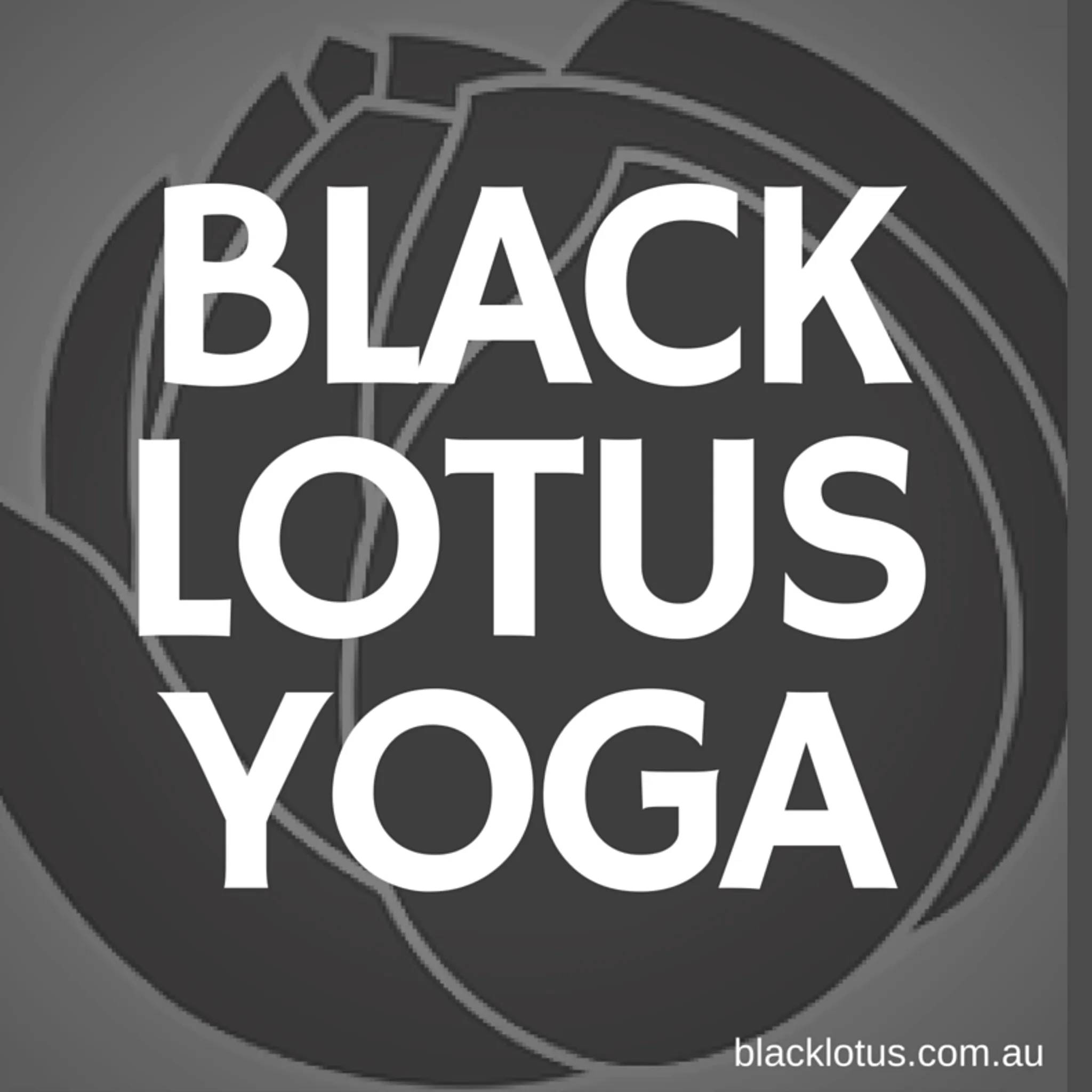 Black Lotus Studios