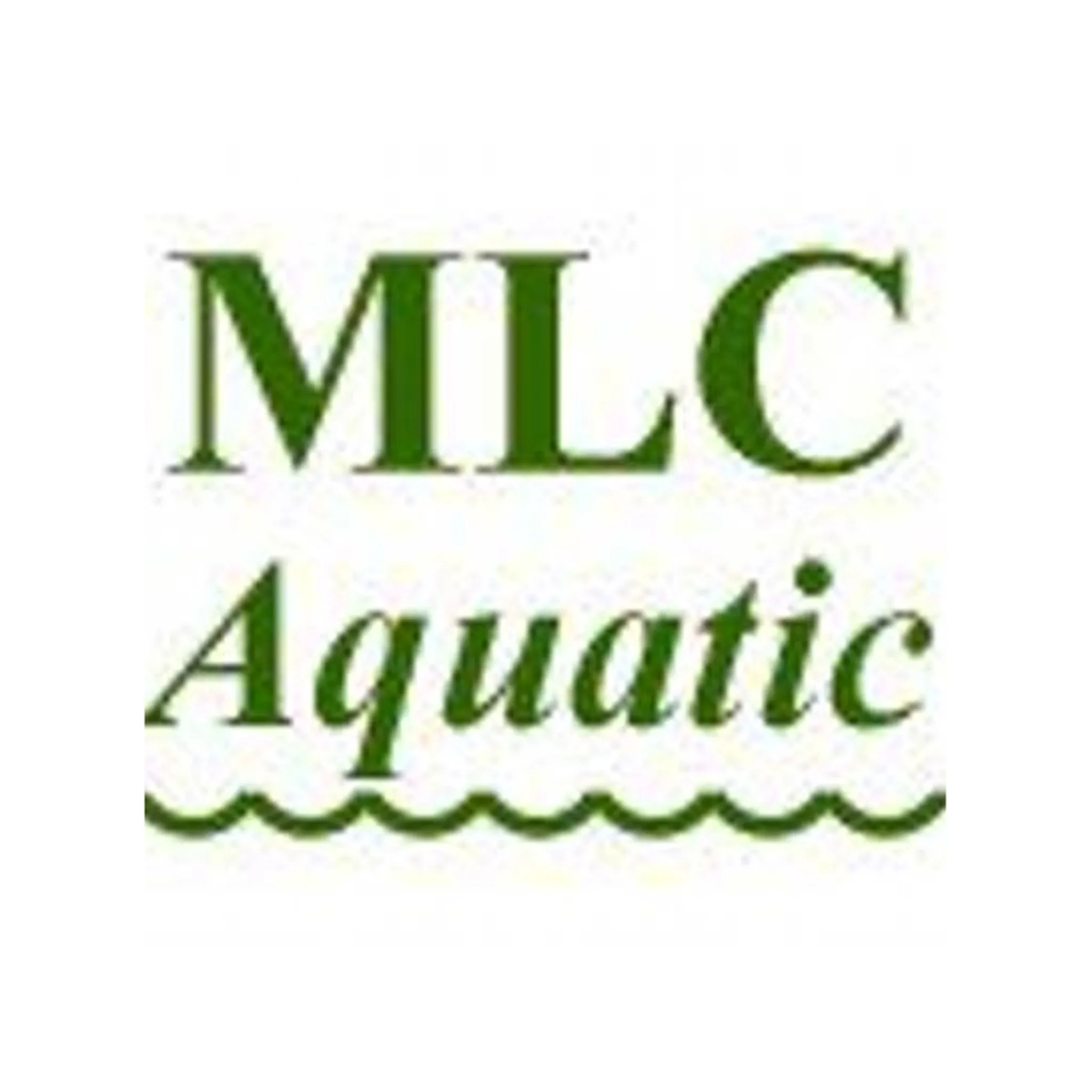 MLC Aquatic Swimming Club