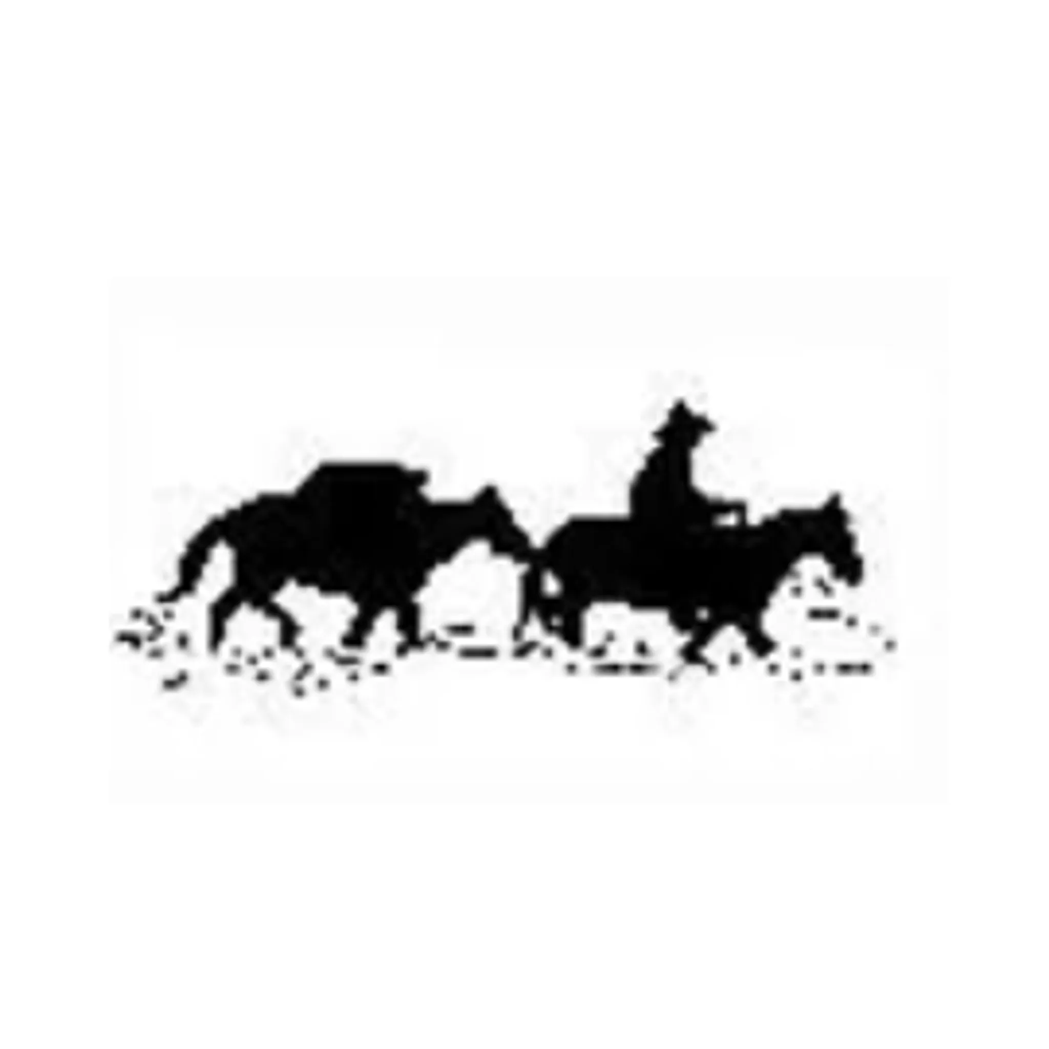 Lake Macquarie Pack & Trail Horse Riders