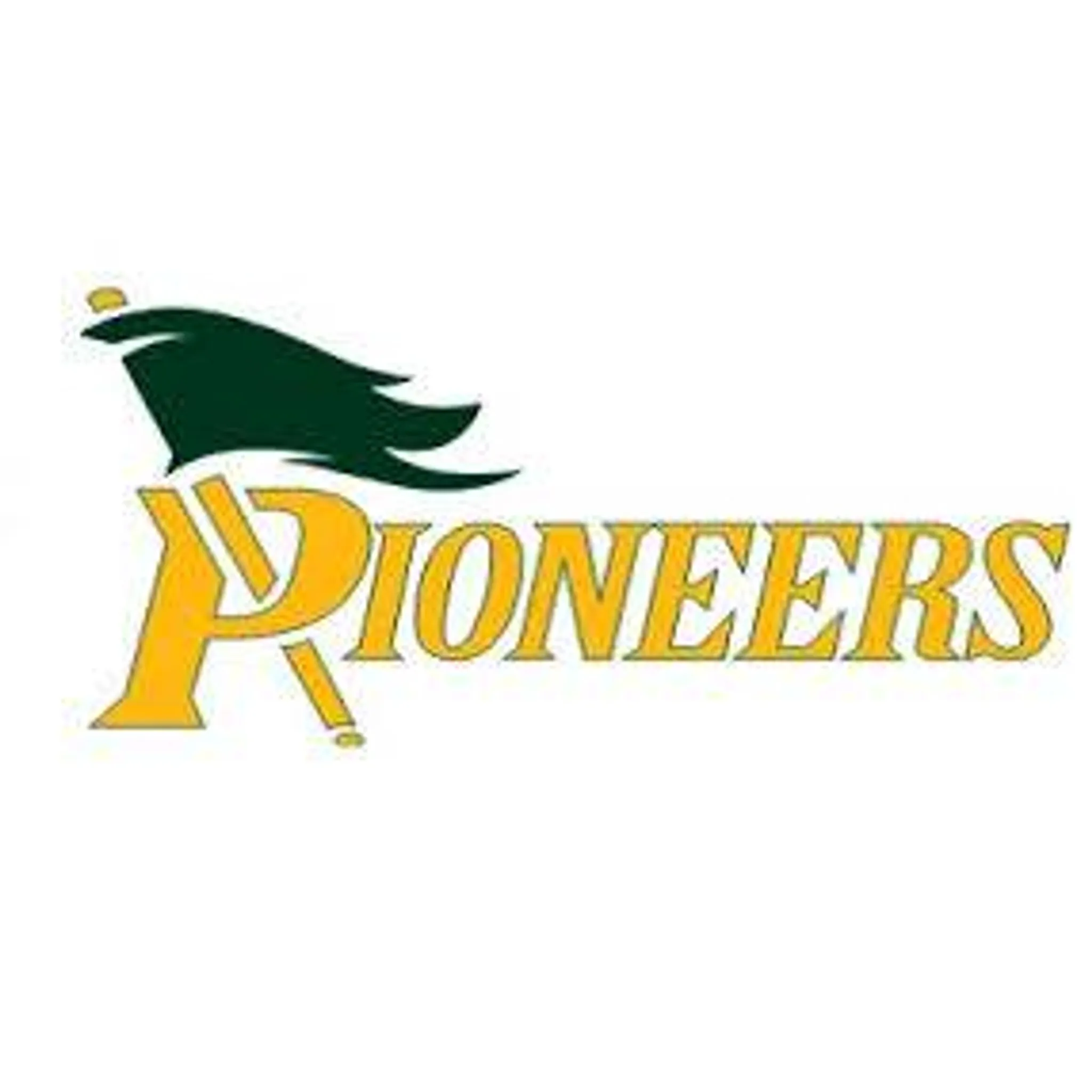 Eastern Creek Pioneers Netball Club