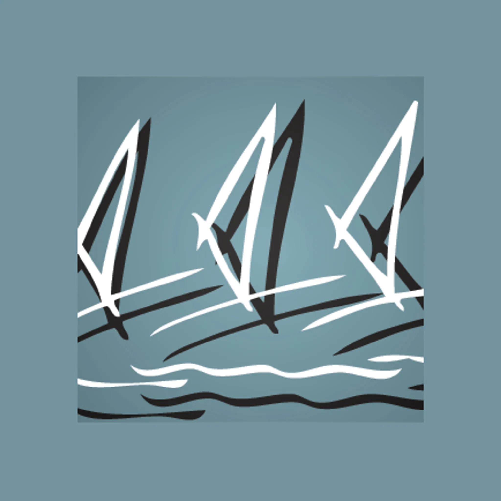 Australian Windsurfing