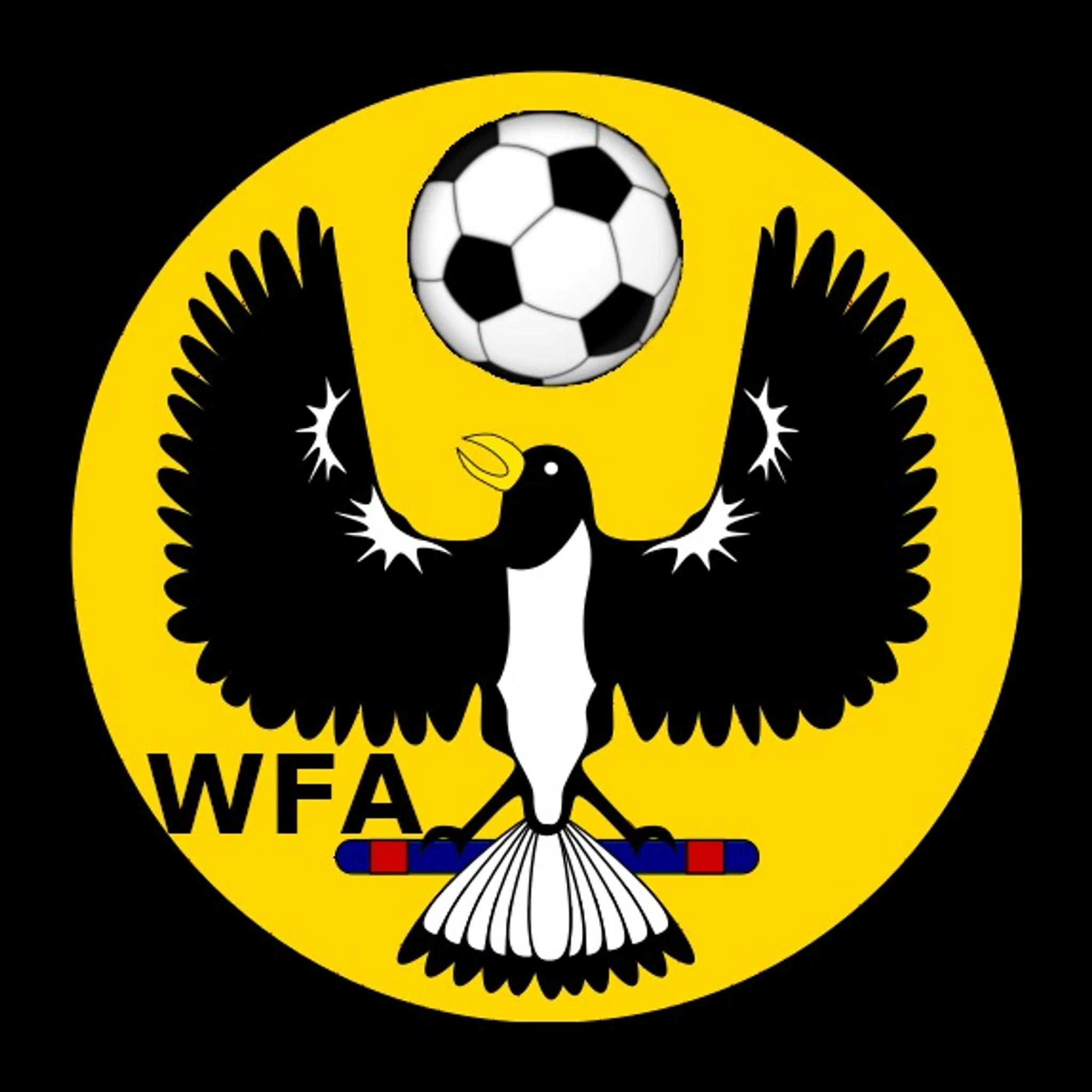 Walking Football Adelaide