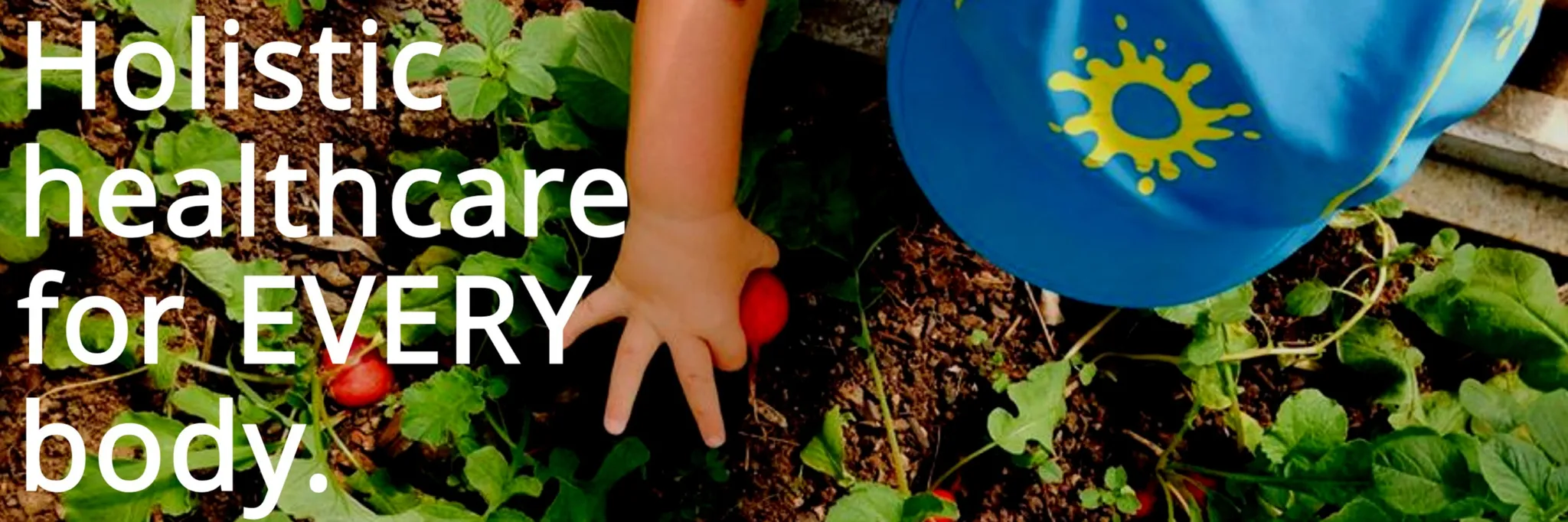 Funky Forest Health & Wellbeing - Burleigh Heads