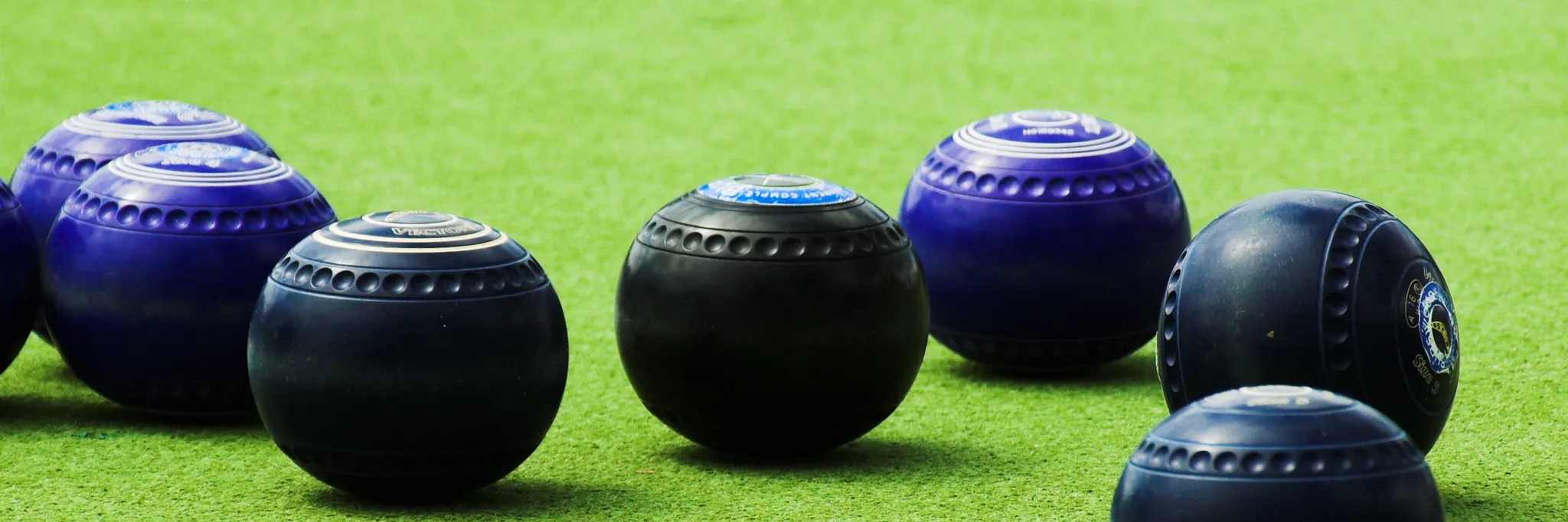 Gladstone Park Bowling Club