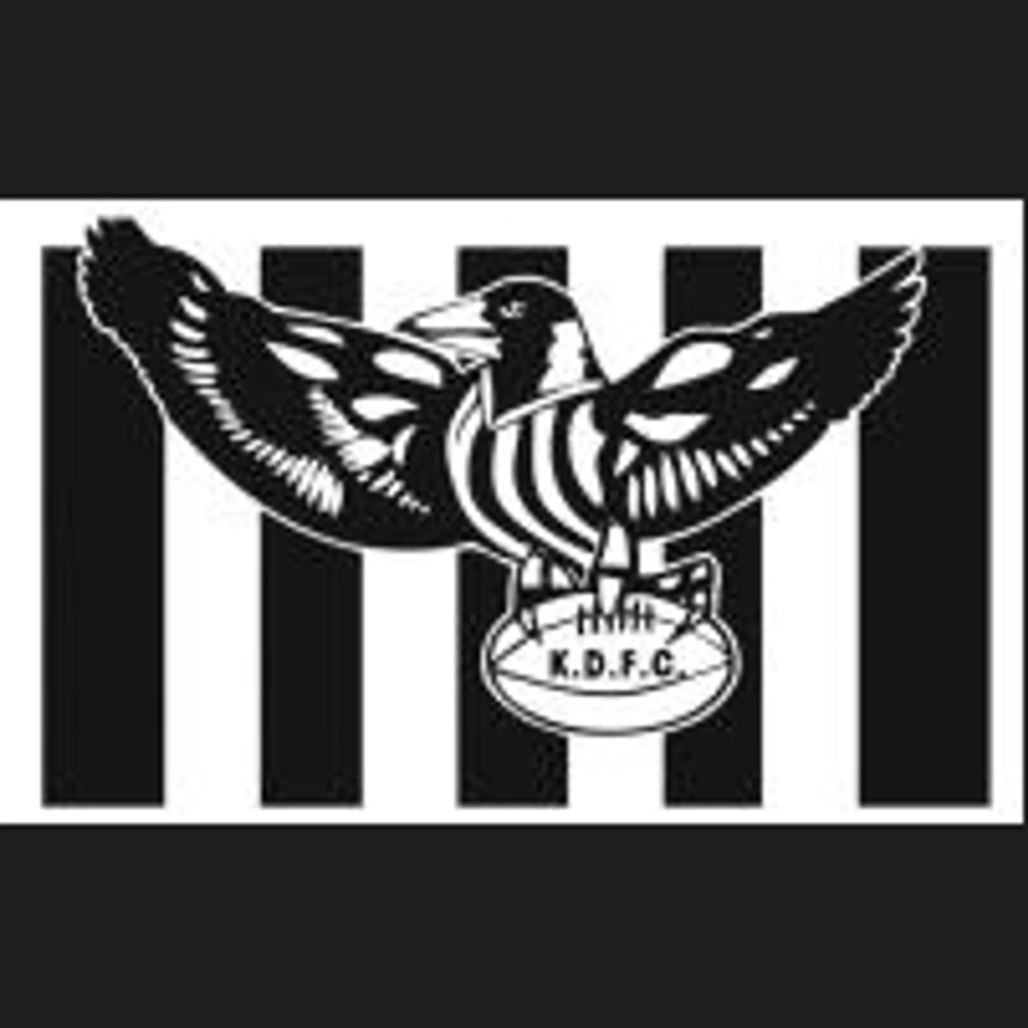 Karoonda Districts Football & Netball club