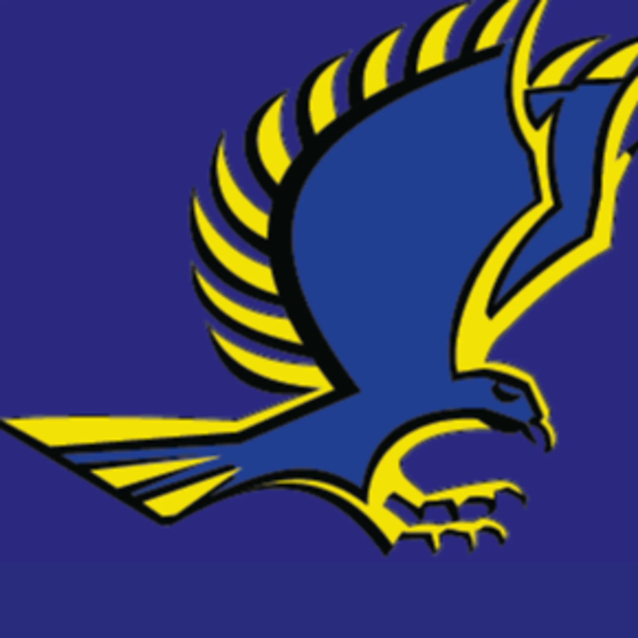 Modbury Hawks Netball Club