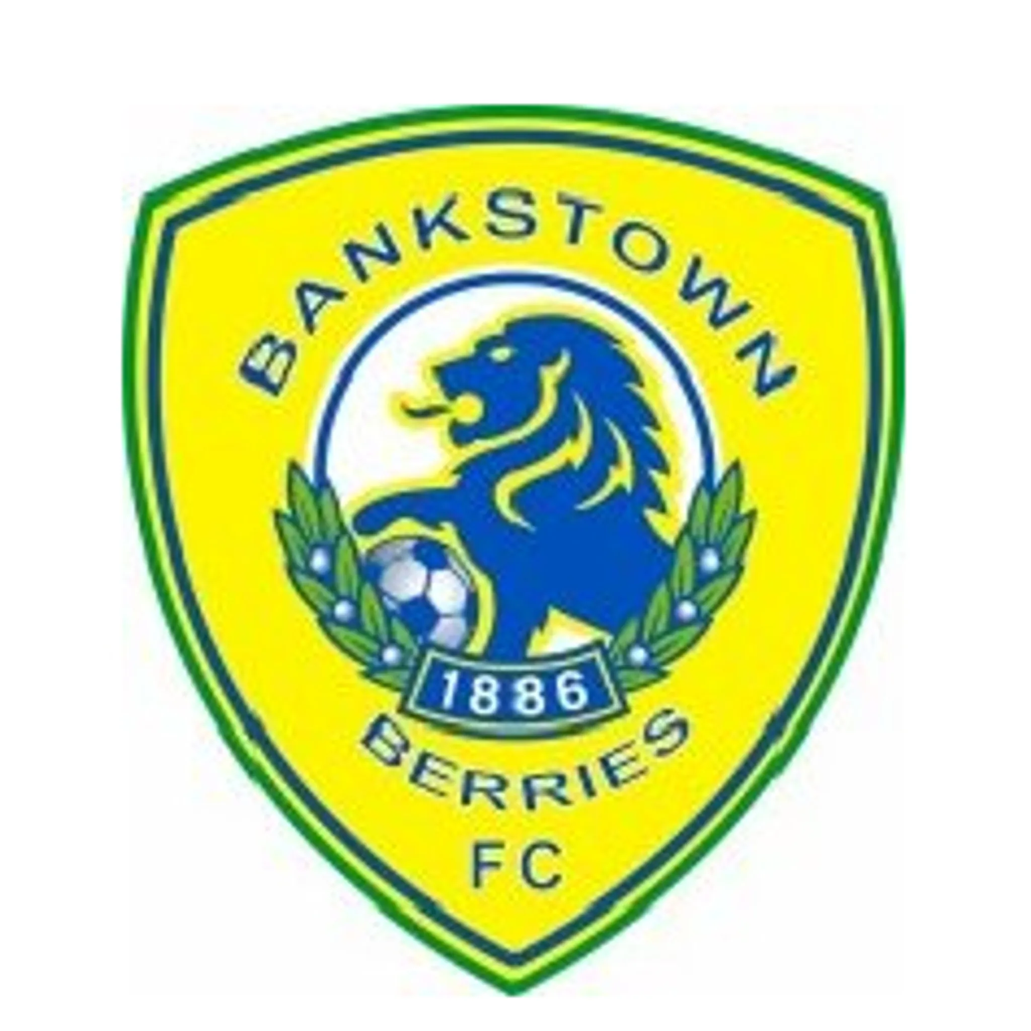Canterbury Bankstown Berries FC