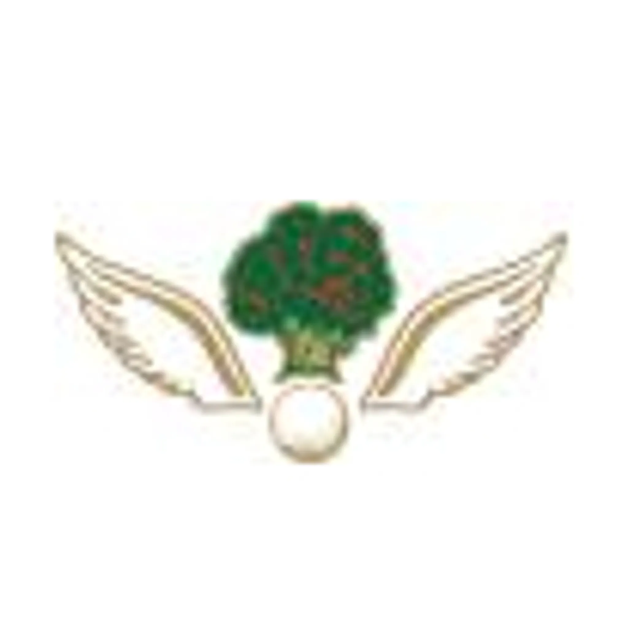 Metropolitan Golf Club