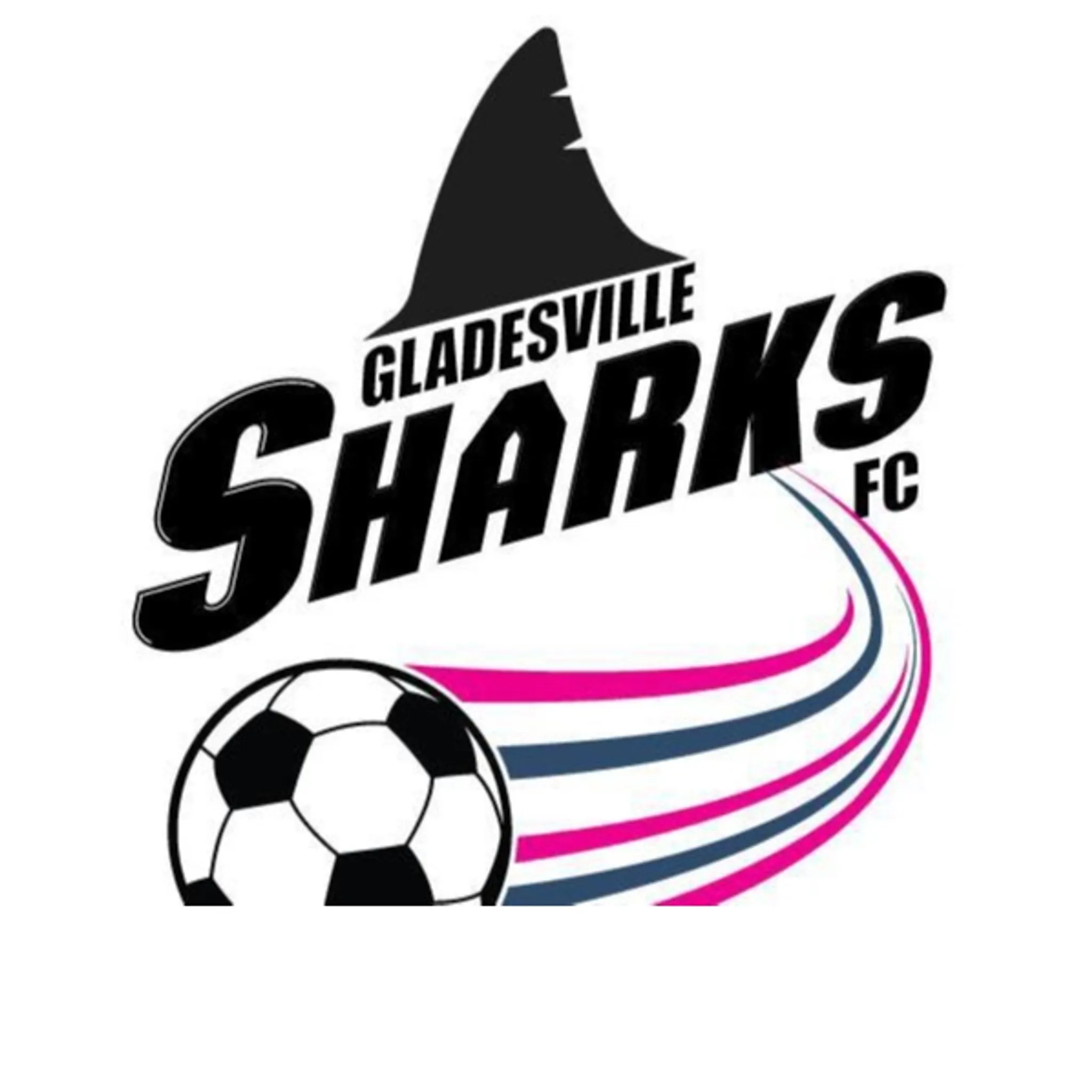 Gladesville Sharks Womens