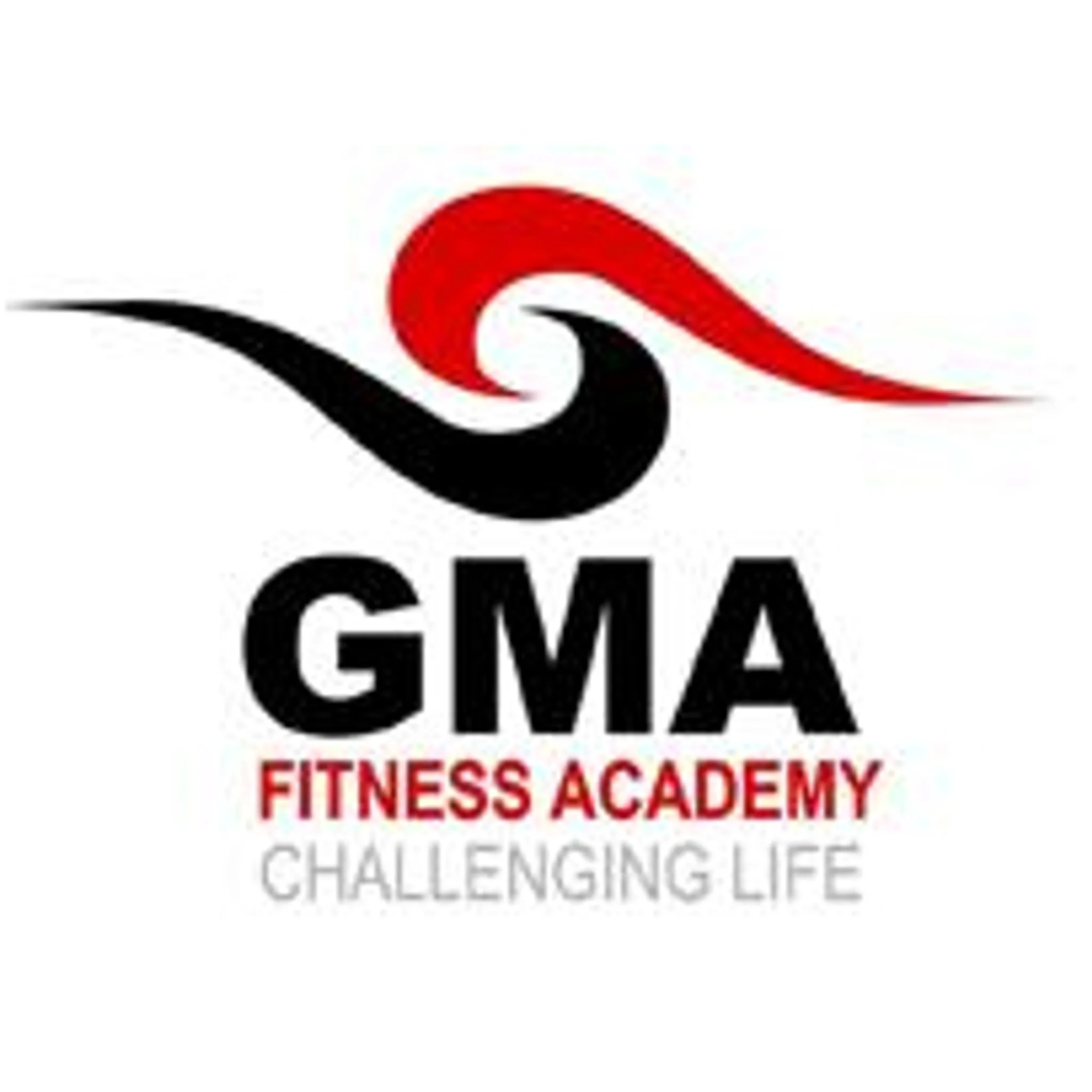 Global Martial Arts & Fitness Academy