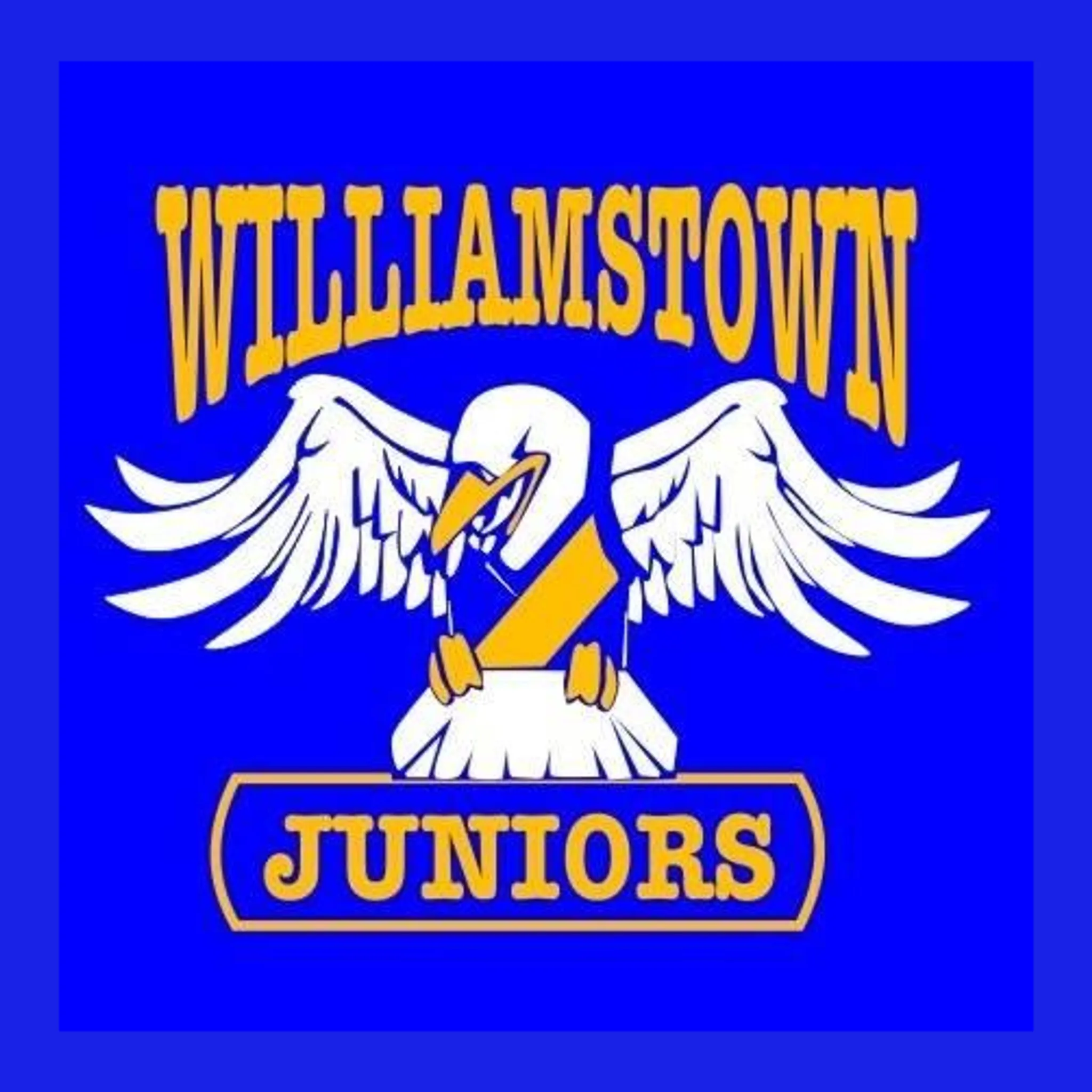 Williamstown Junior Football Club