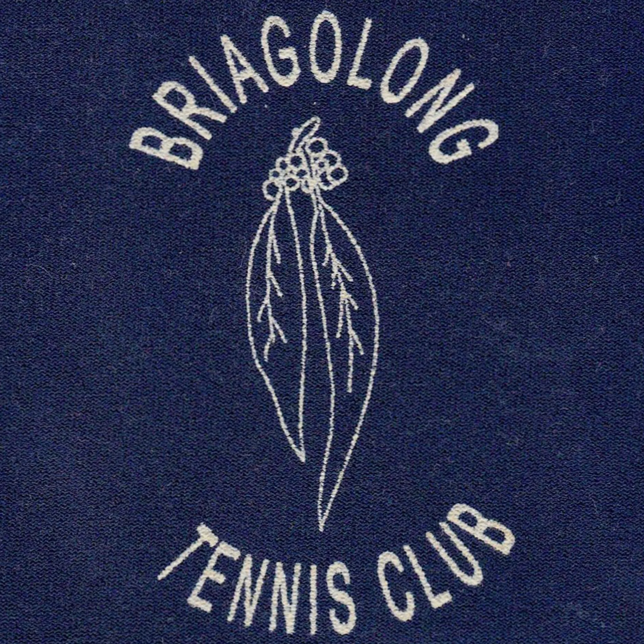 Briagolong Tennis Club