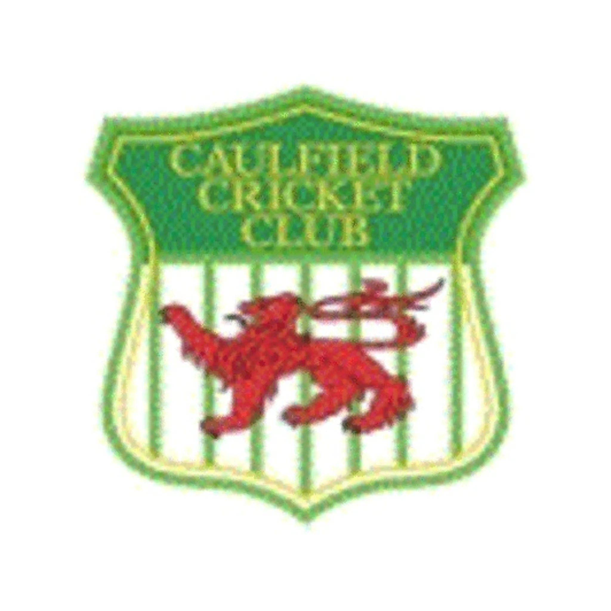 Caulfield Cricket Club