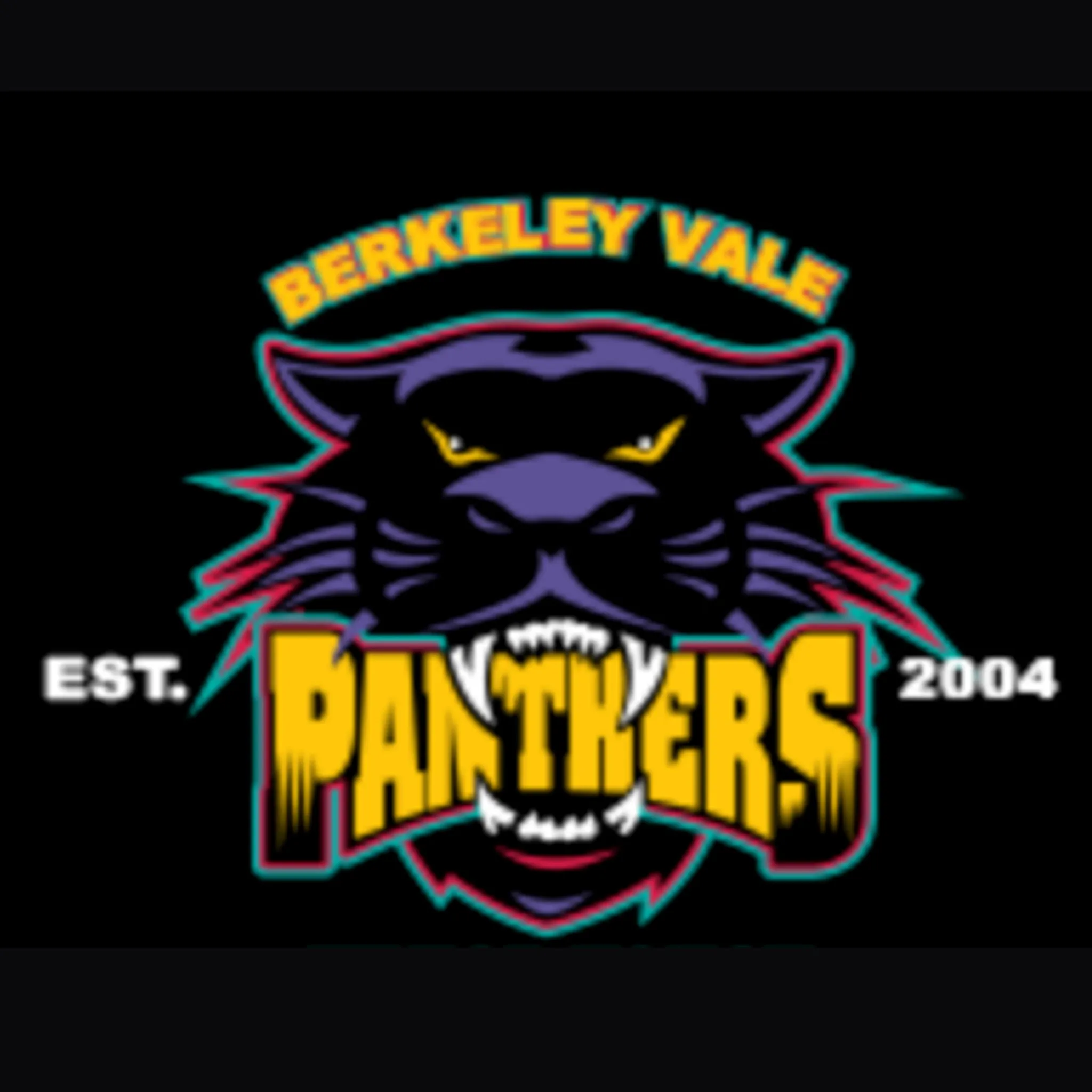 Berkeley Vale Touch Association