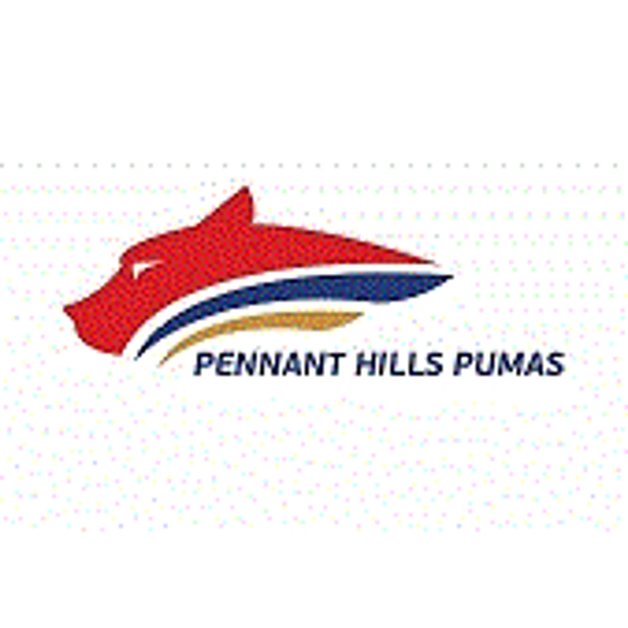 Pennant Hills District Cricket Club