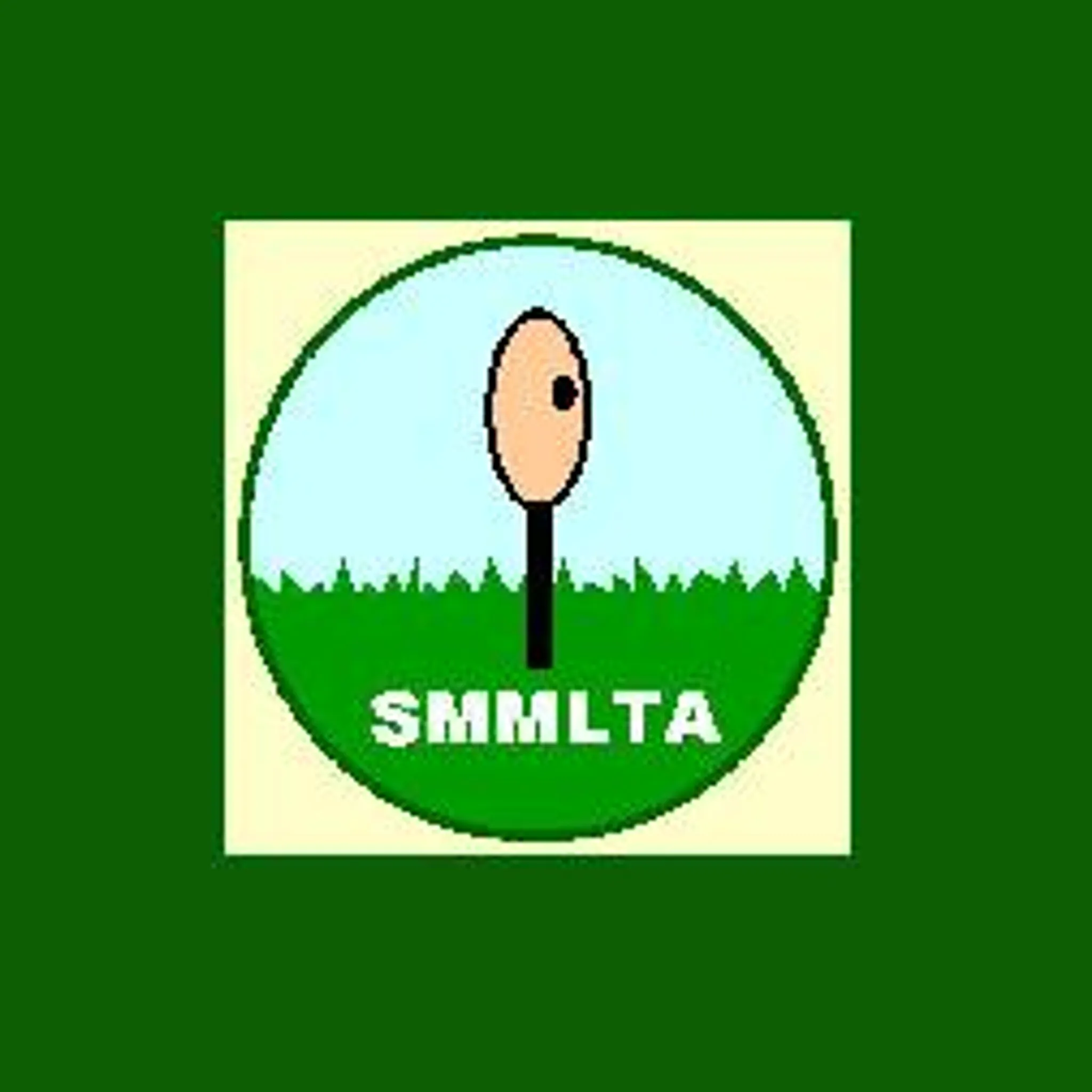 Saturday Morning Mens Lawn Tennis Association