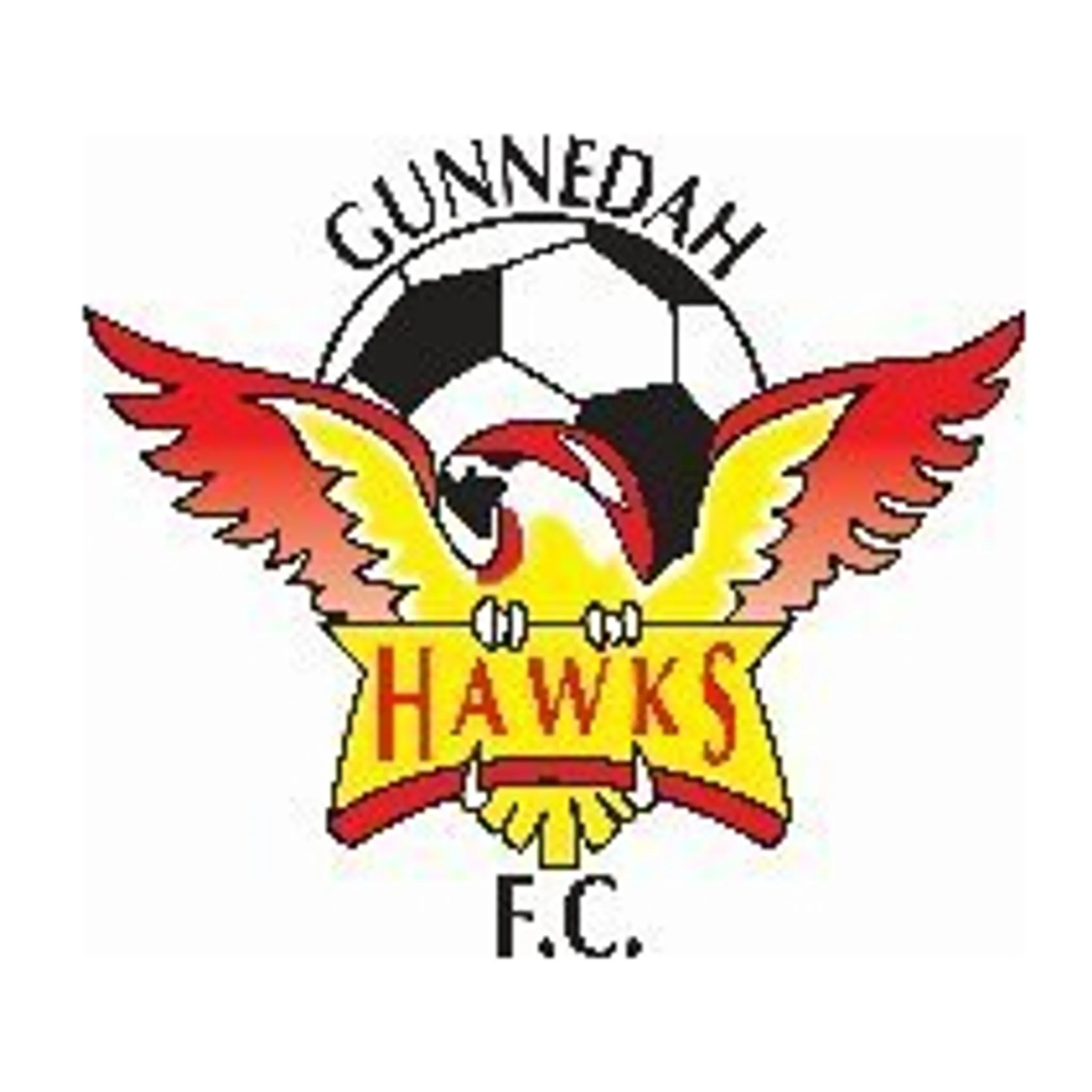 Gunnedah Hawks FC