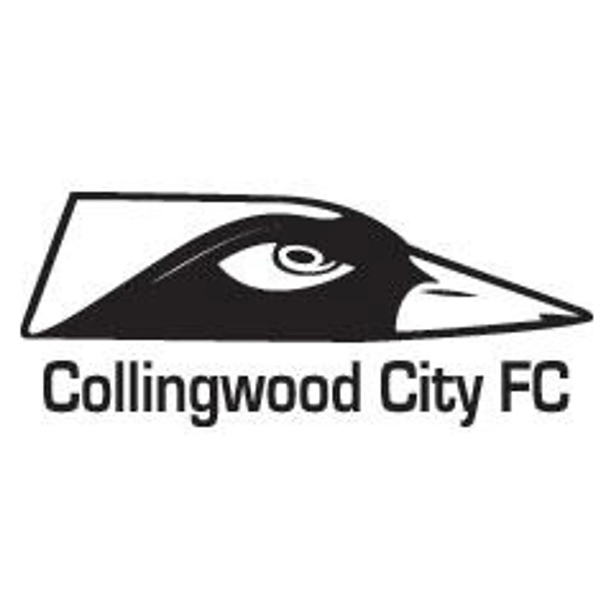 Collingwood City FC