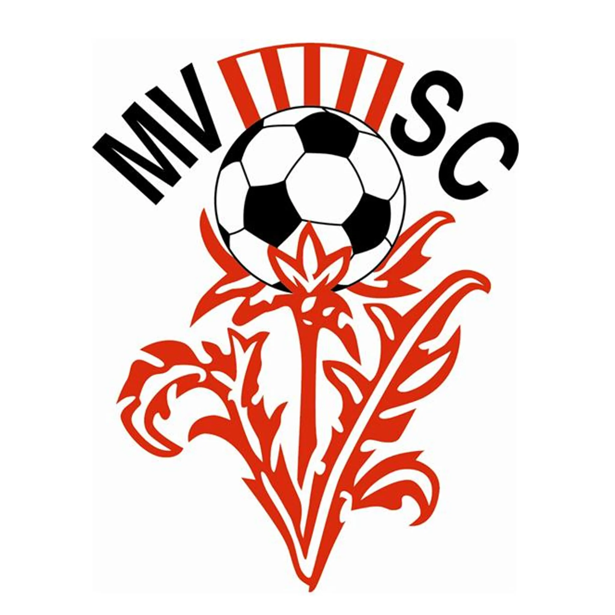 Moss Vale Soccer Club Inc