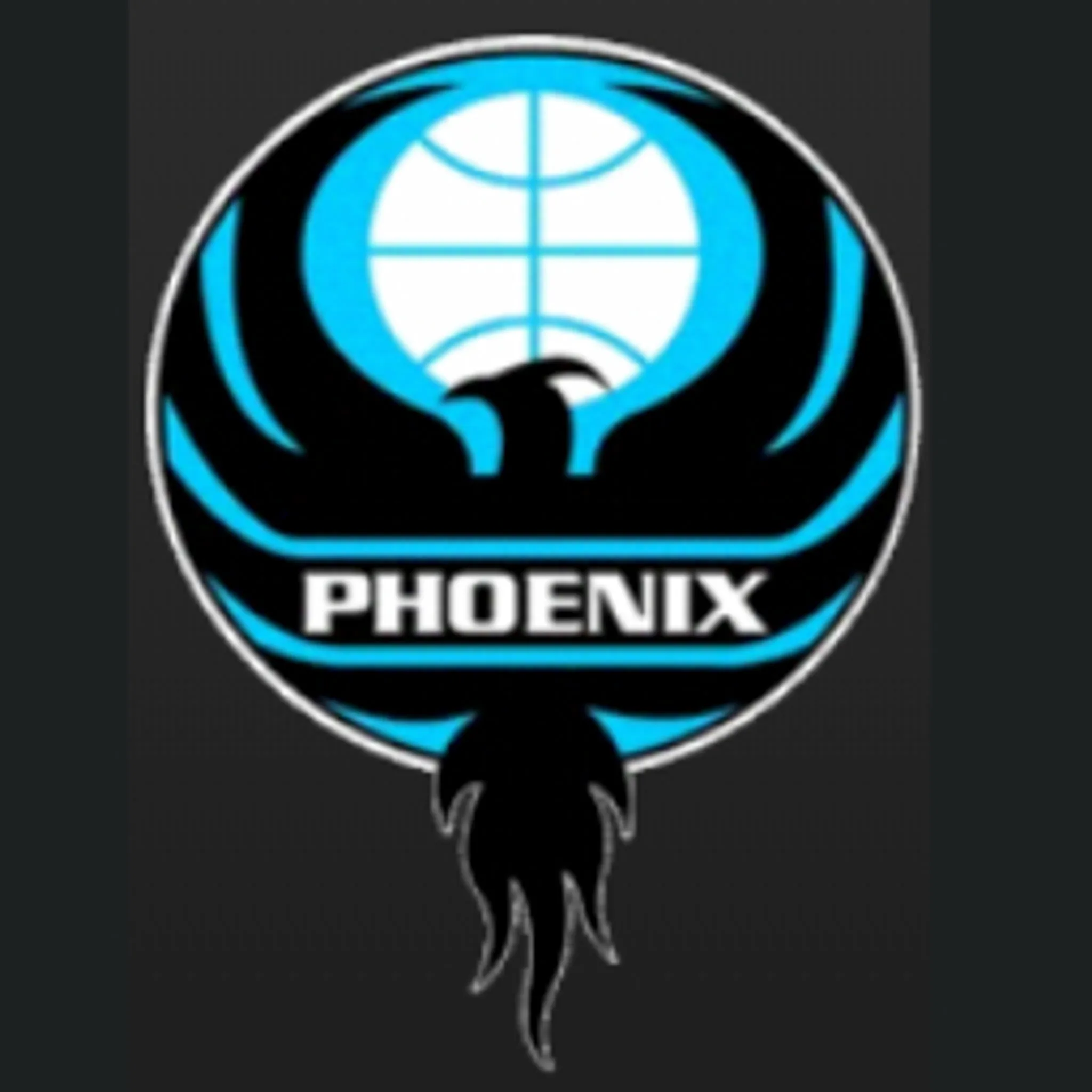 Hobart Phoenix Basketball Association