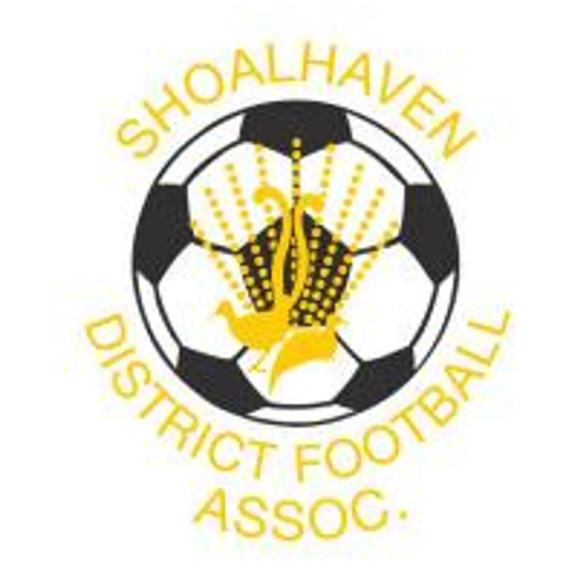 Shoalhaven District Football Association
