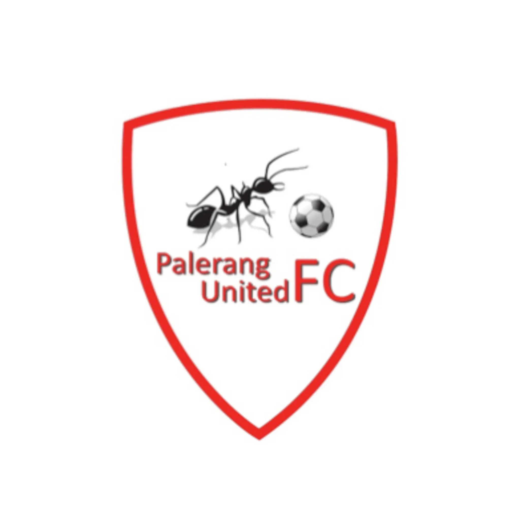 Palerang United FC