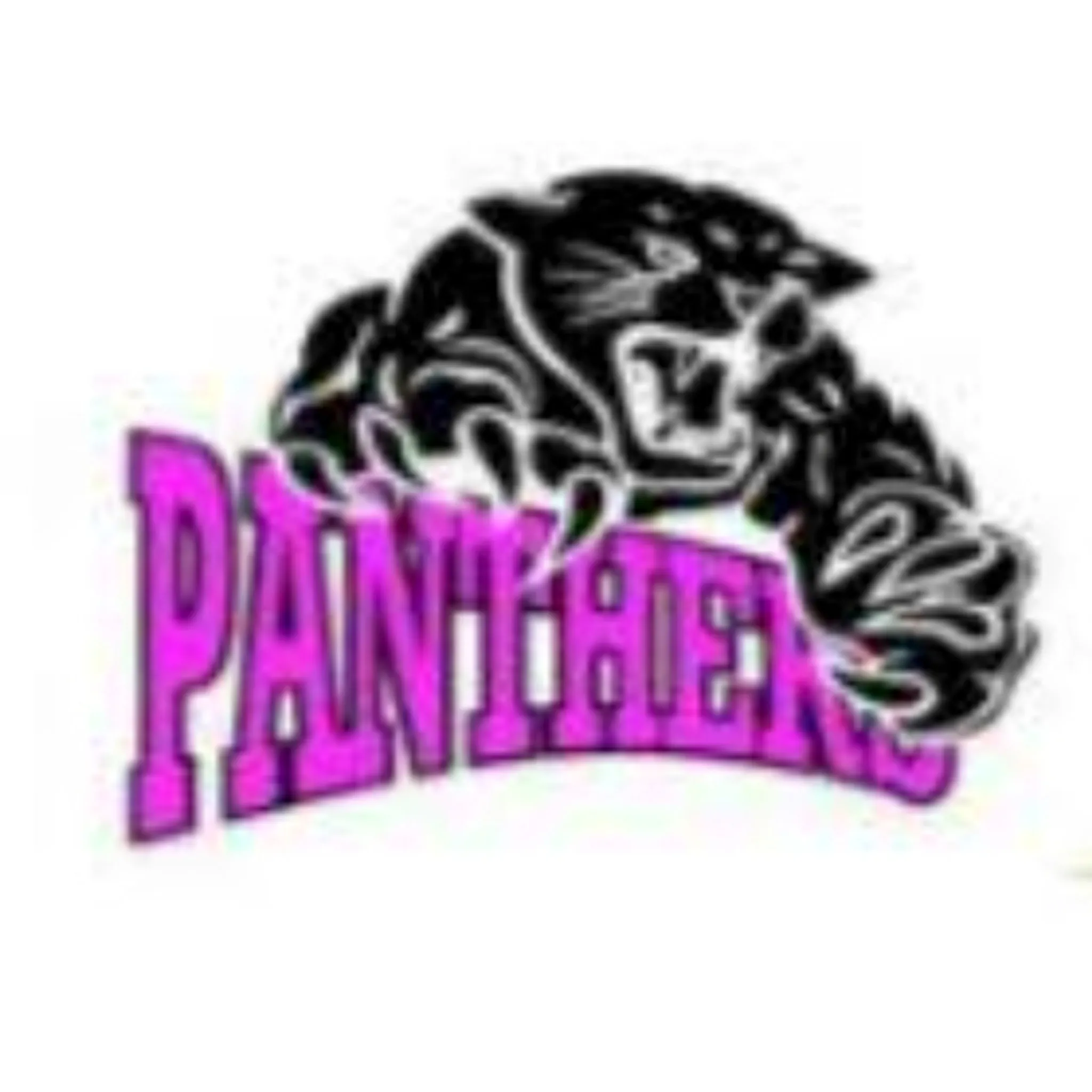 Port Panthers Netball Club
